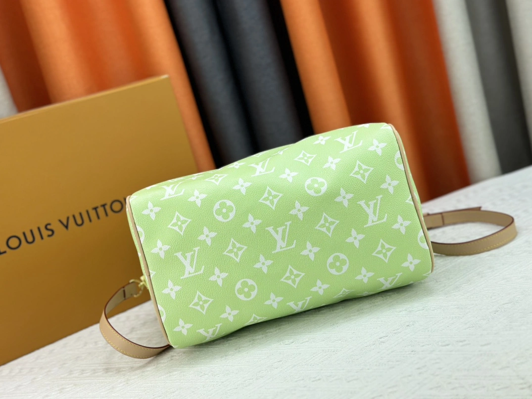 Timeless 5009 Louis Vuitton AAA Quality Handbags For Women