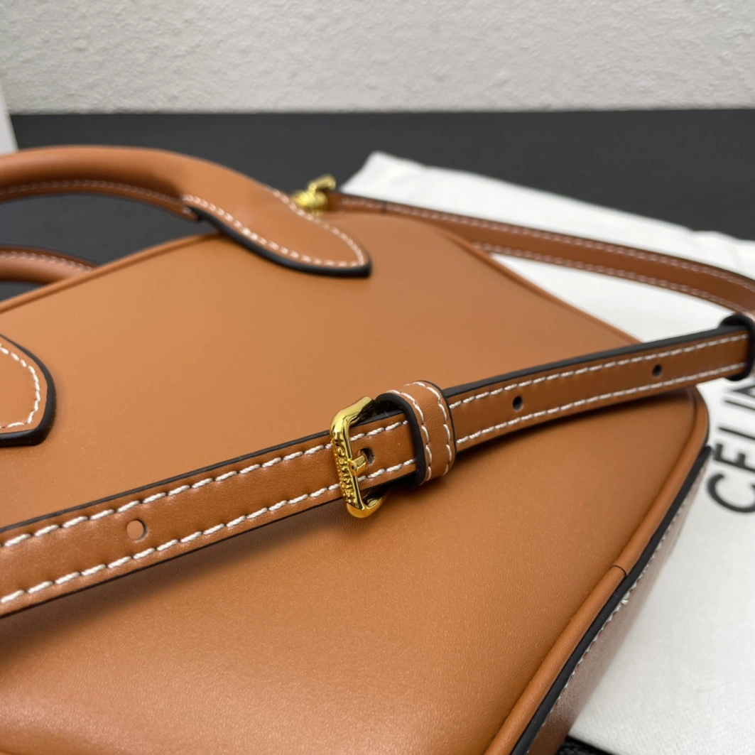 Timeless 6189 Celine AAA Quality Handbags For Women