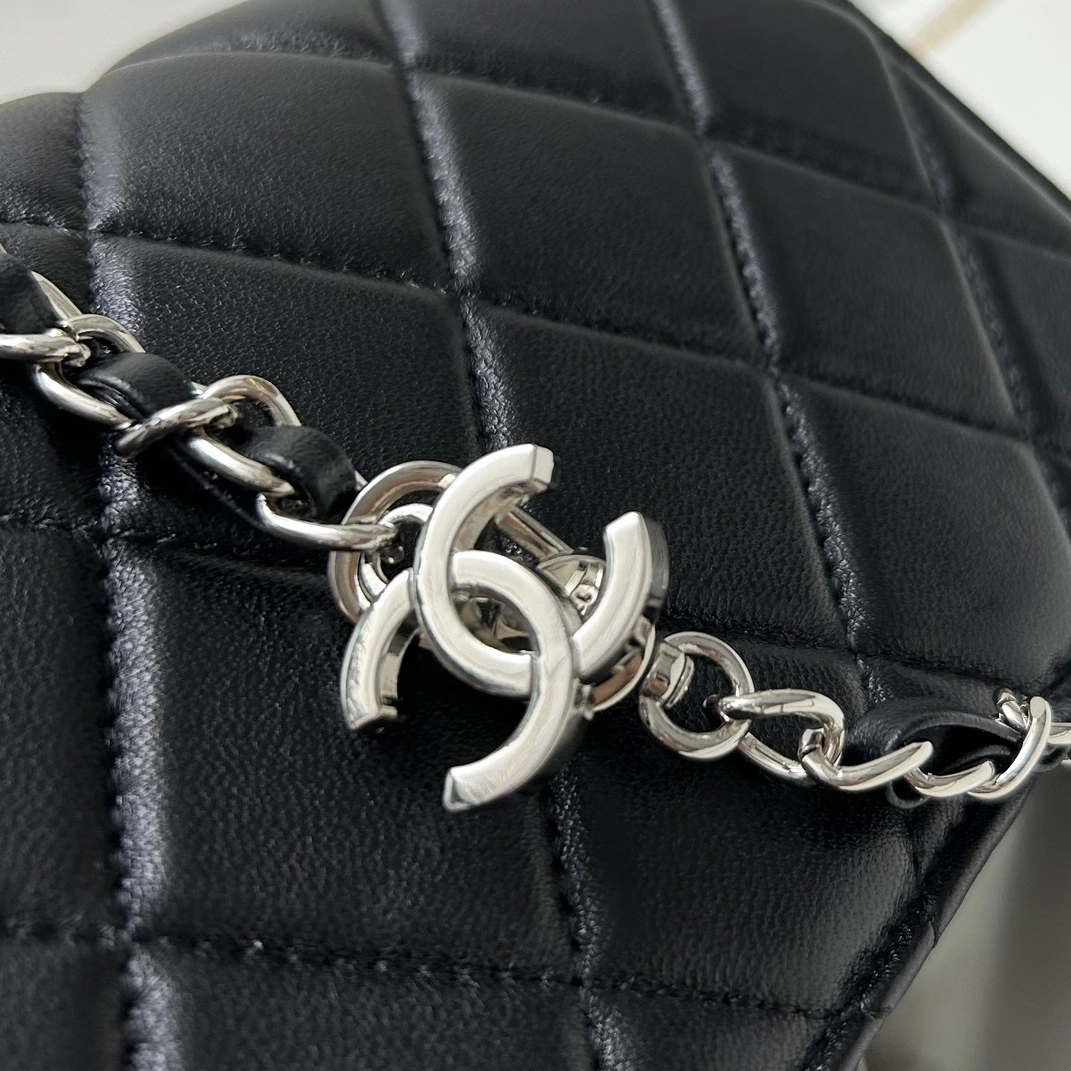 Timeless 6595 Chanel AAA Quality Messenger Bags For Women