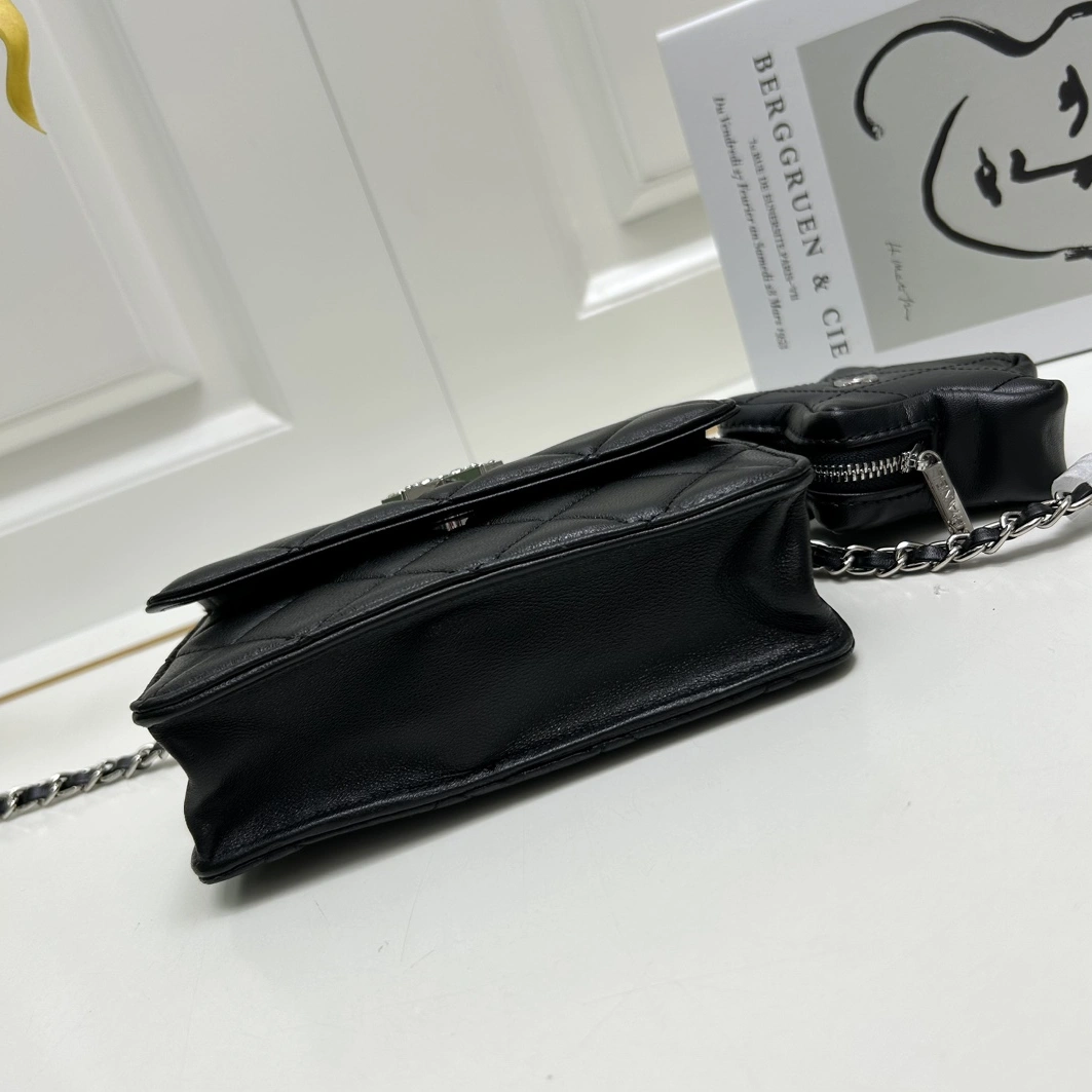 Timeless 6595 Chanel AAA Quality Messenger Bags For Women