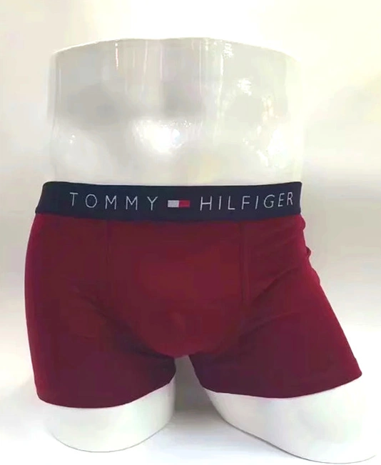 Tommy Hilfiger TH Underwears For Men Stylish 4727