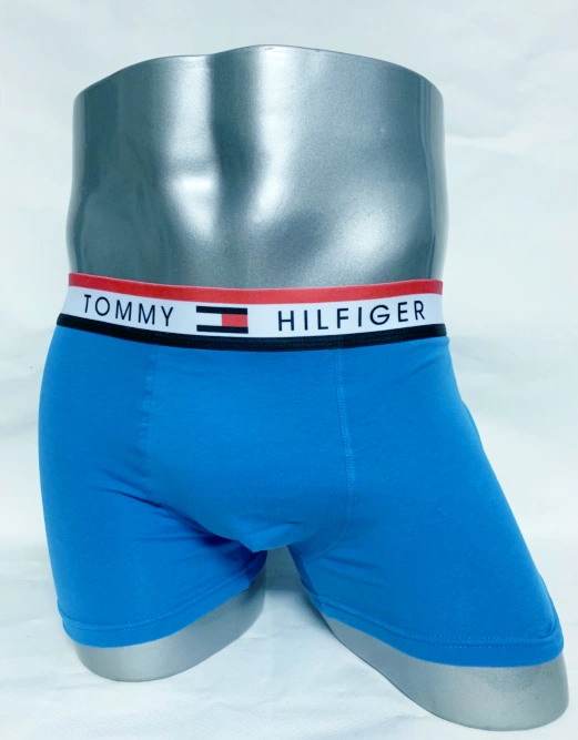 Tommy Hilfiger Underwears For Men Minimalist 7345