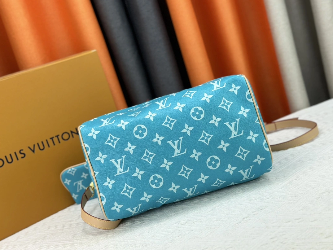 TopPick 174 Louis Vuitton AAA Quality Handbags For Women