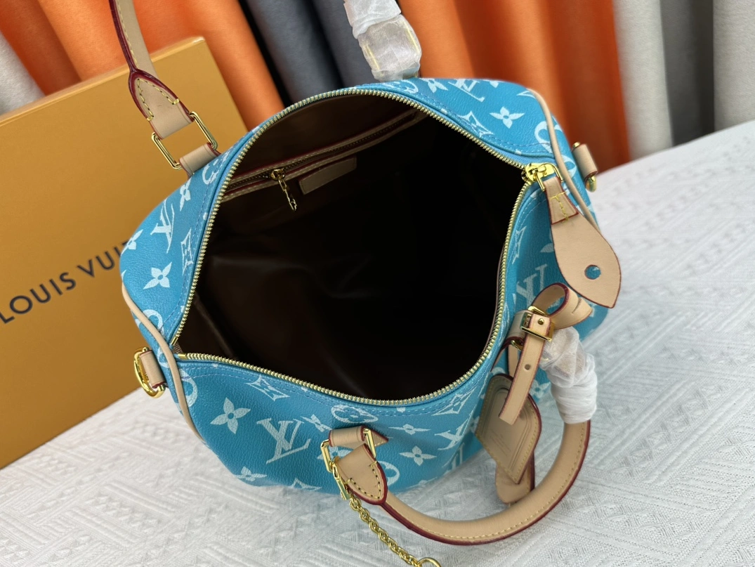 TopPick 174 Louis Vuitton AAA Quality Handbags For Women