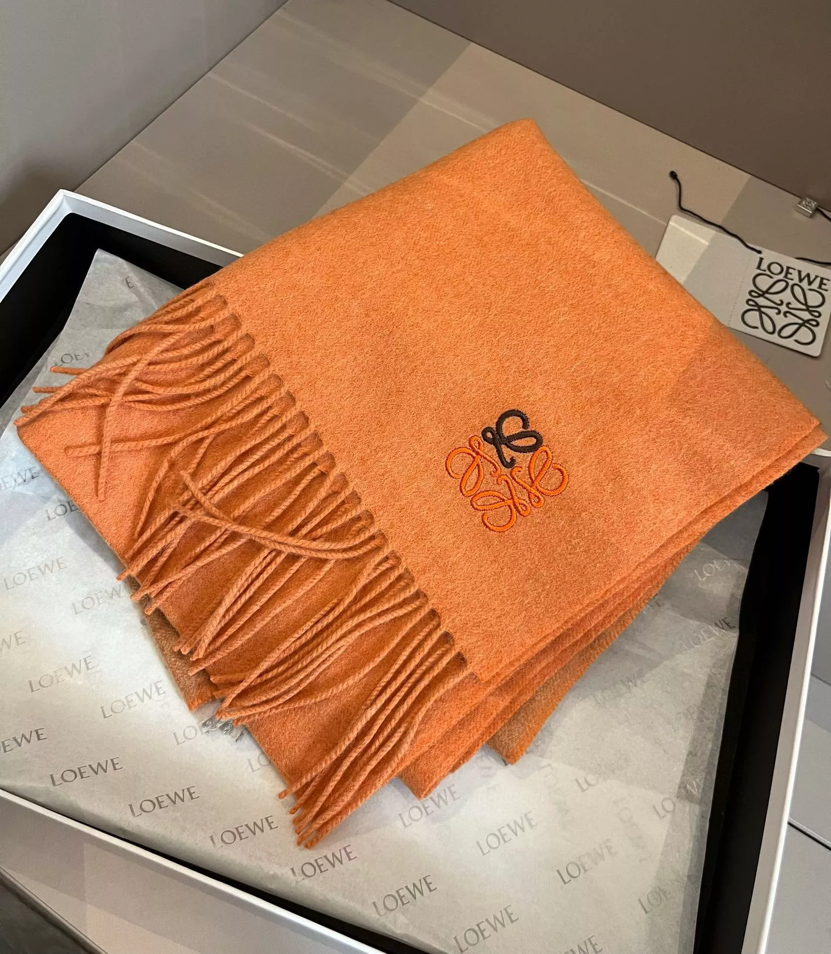 TopPick 1946 LOEWE Scarf For Women