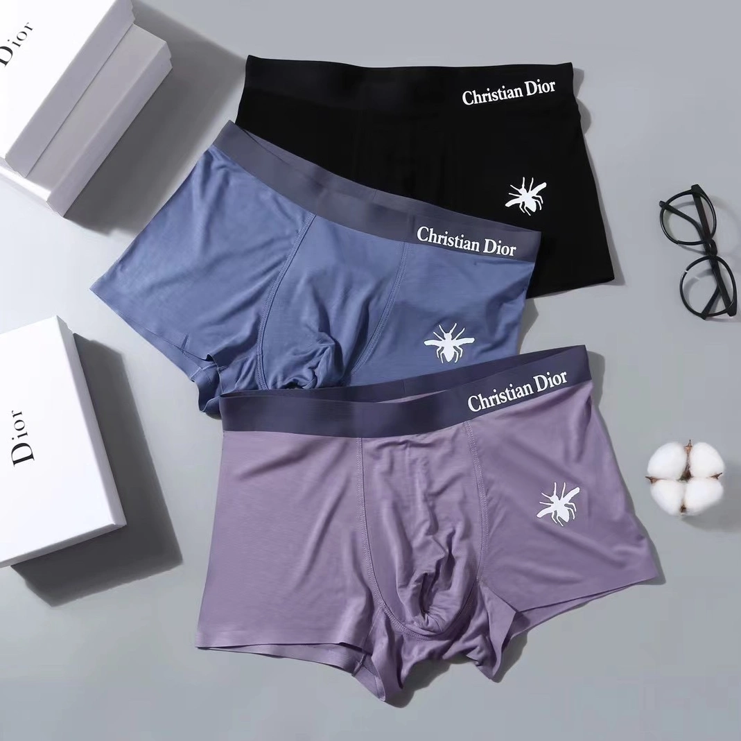 TopPick 2001 Christian Dior Underwears For Men