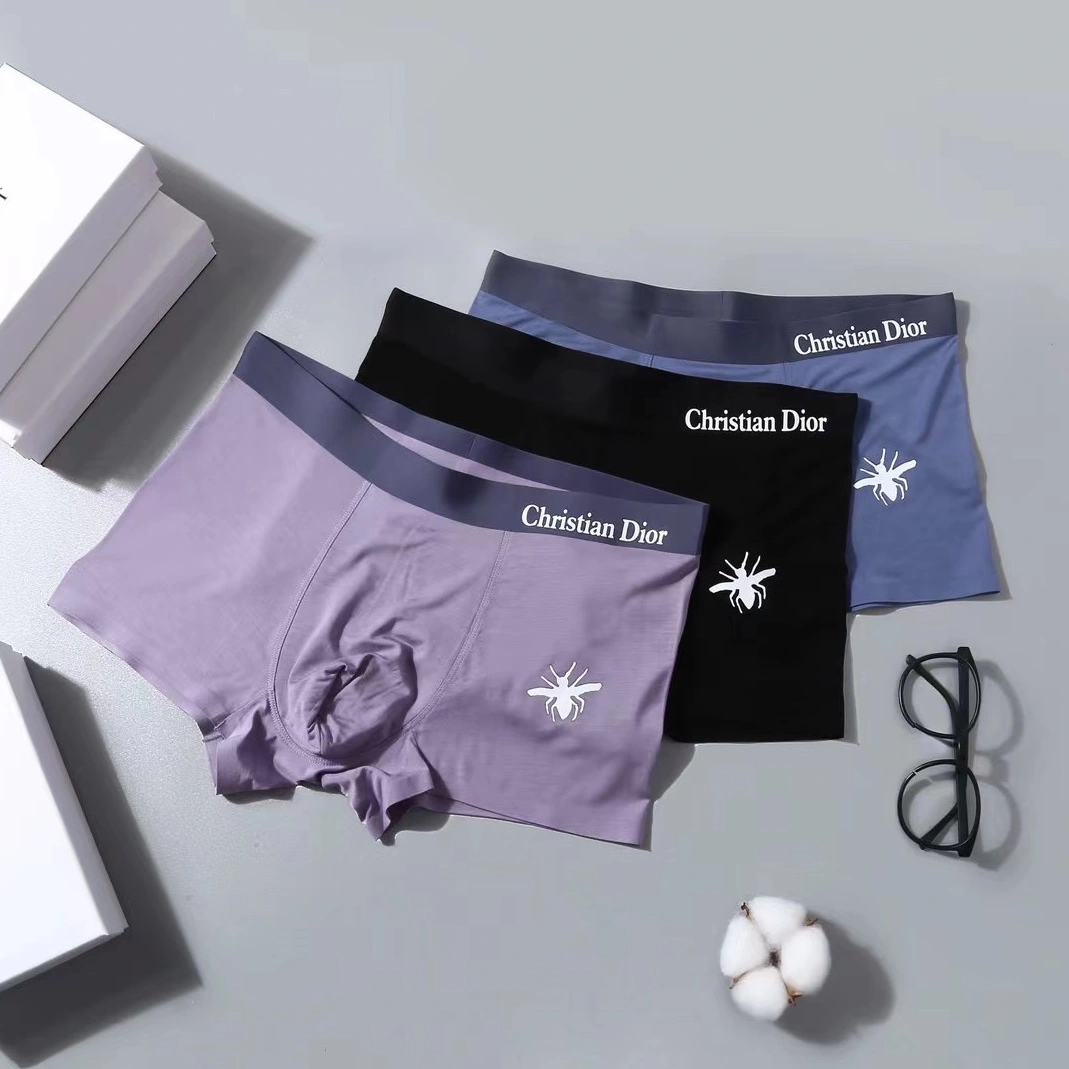 TopPick 2001 Christian Dior Underwears For Men