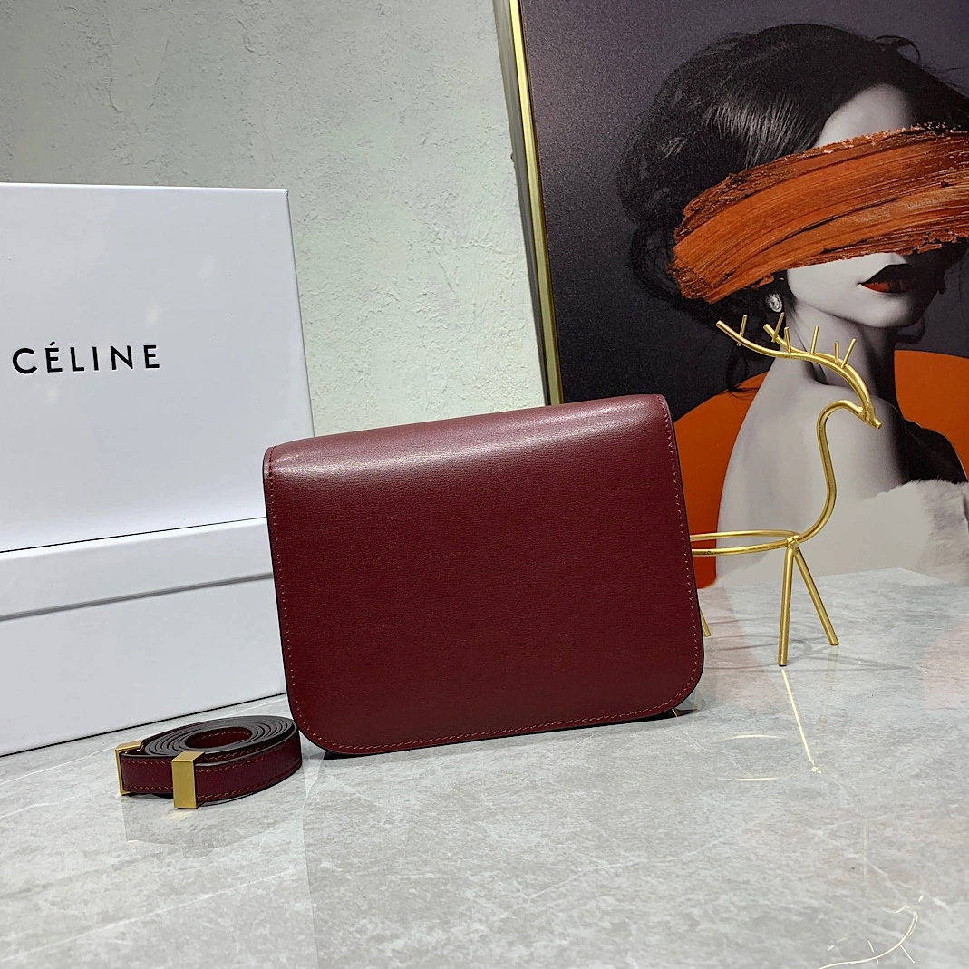 TopPick 6247 Celine AAA Quality Messenger Bags For Women