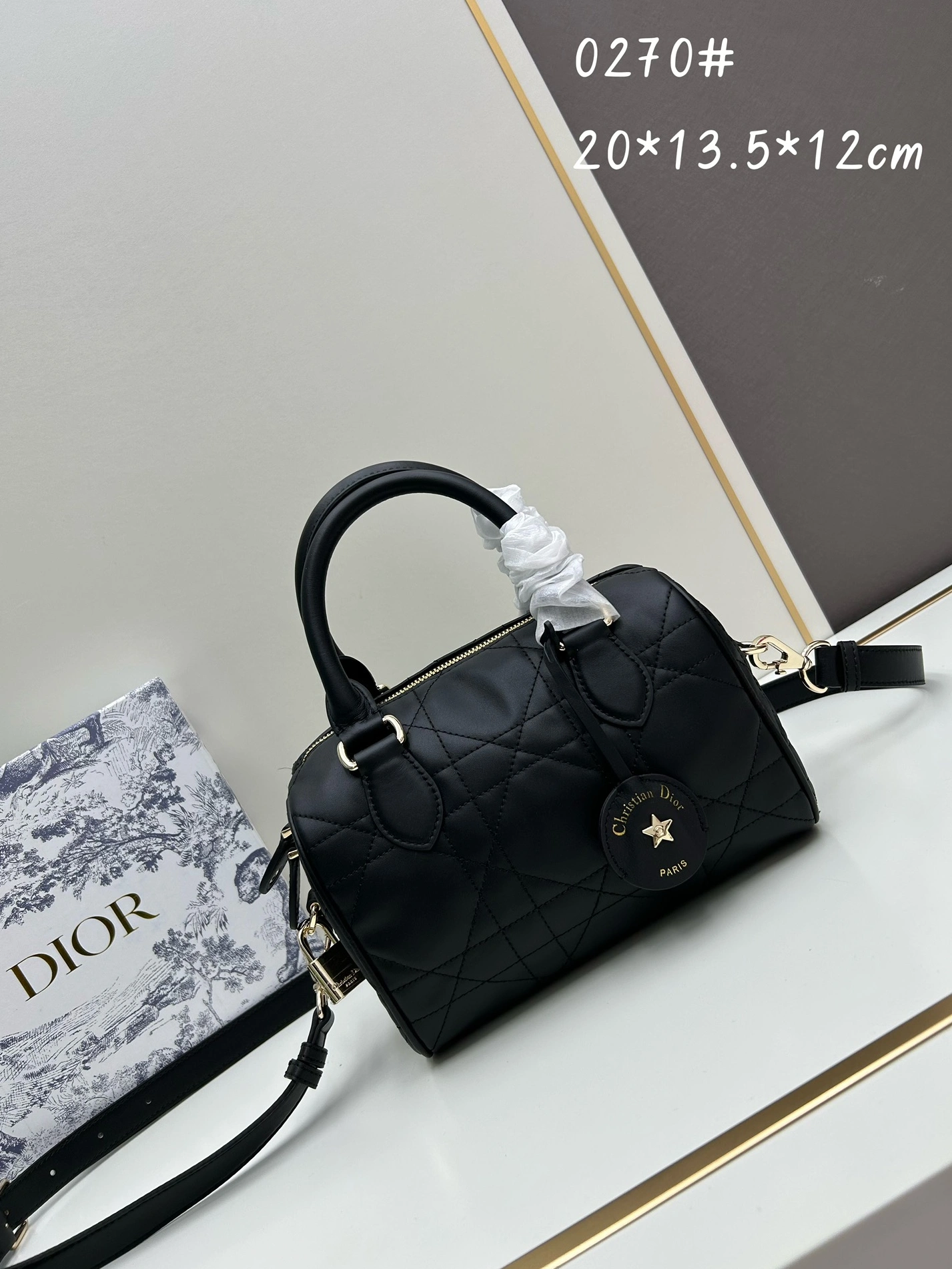 Trendsetting 2106 Christian Dior AAA Quality Handbags For Women