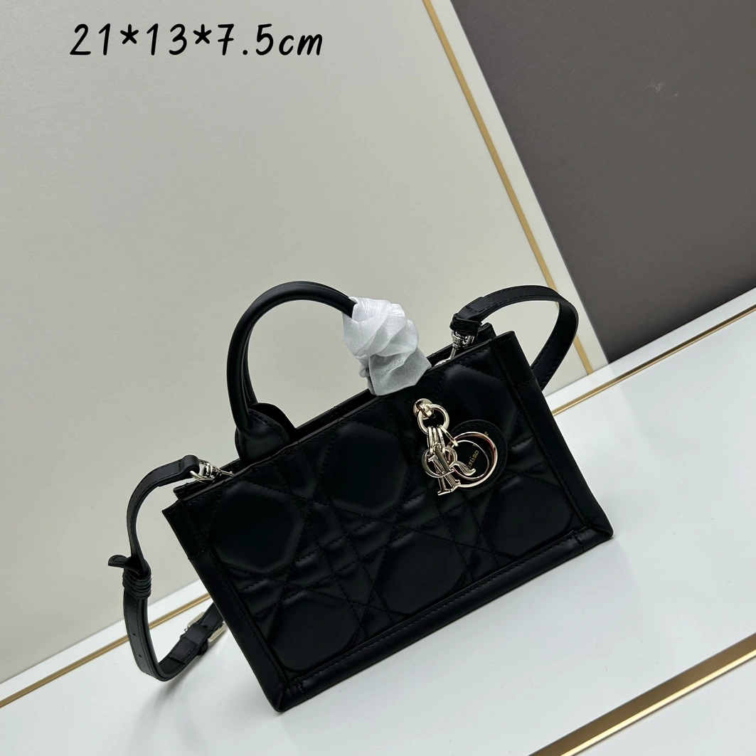 Trendsetting 4663 Christian Dior AAA Quality Handbags For Women