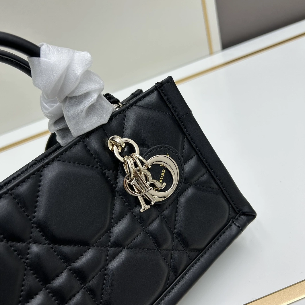 Trendsetting 4663 Christian Dior AAA Quality Handbags For Women