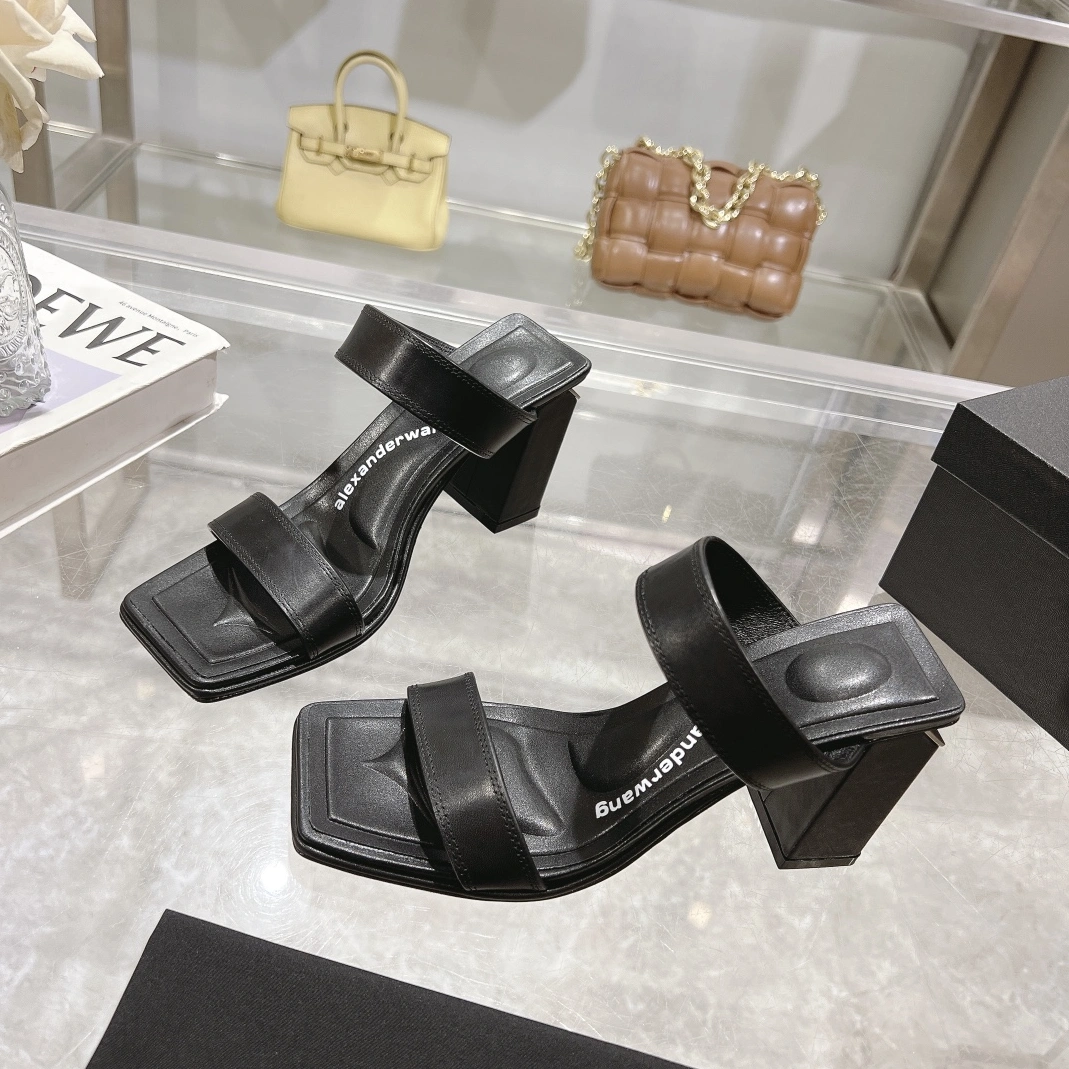 Trendsetting 8972 Alexander Wang Sandal For Women