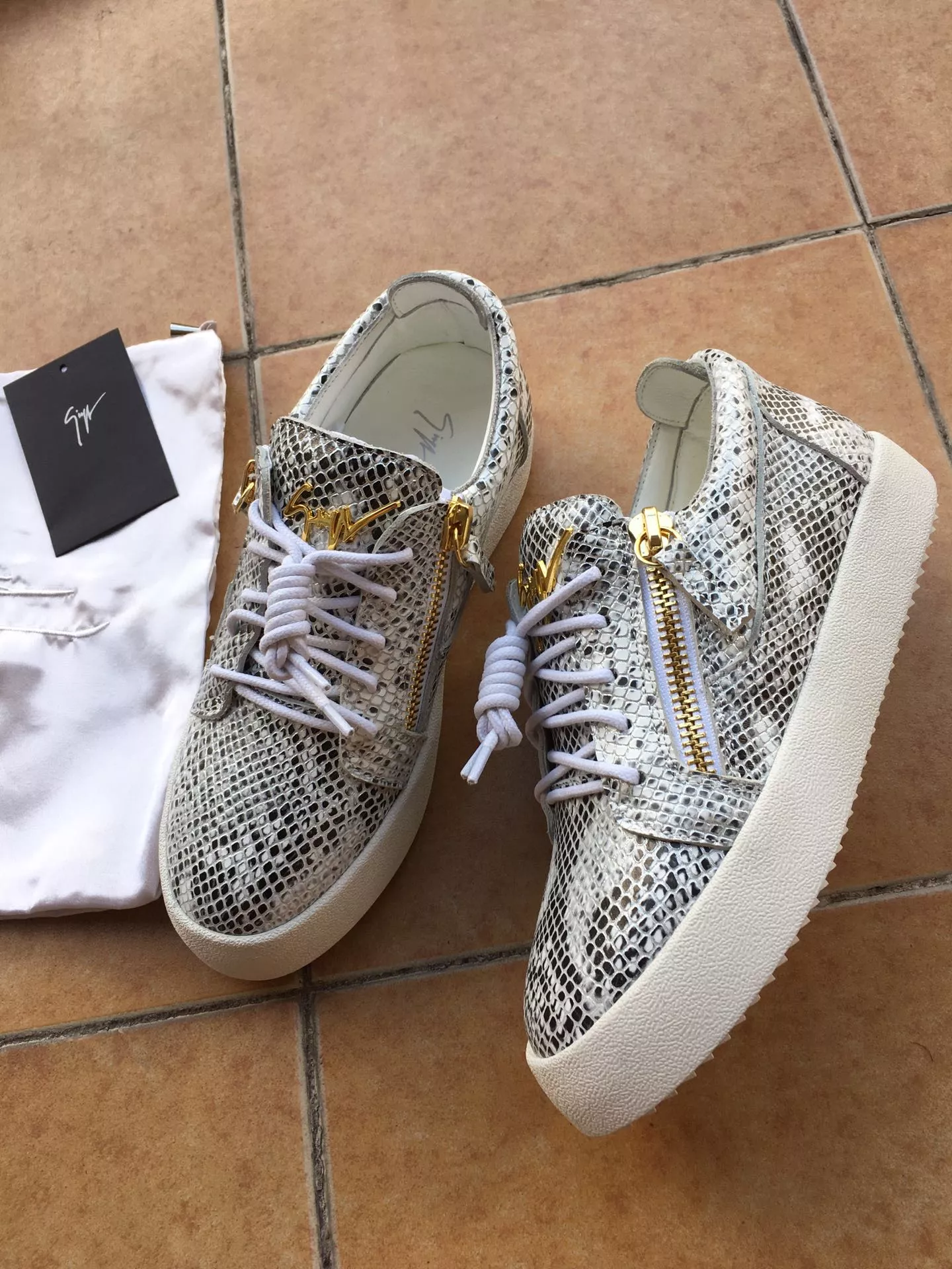Trendsetting 9484 Giuseppe Zanotti Casual Shoes For Men