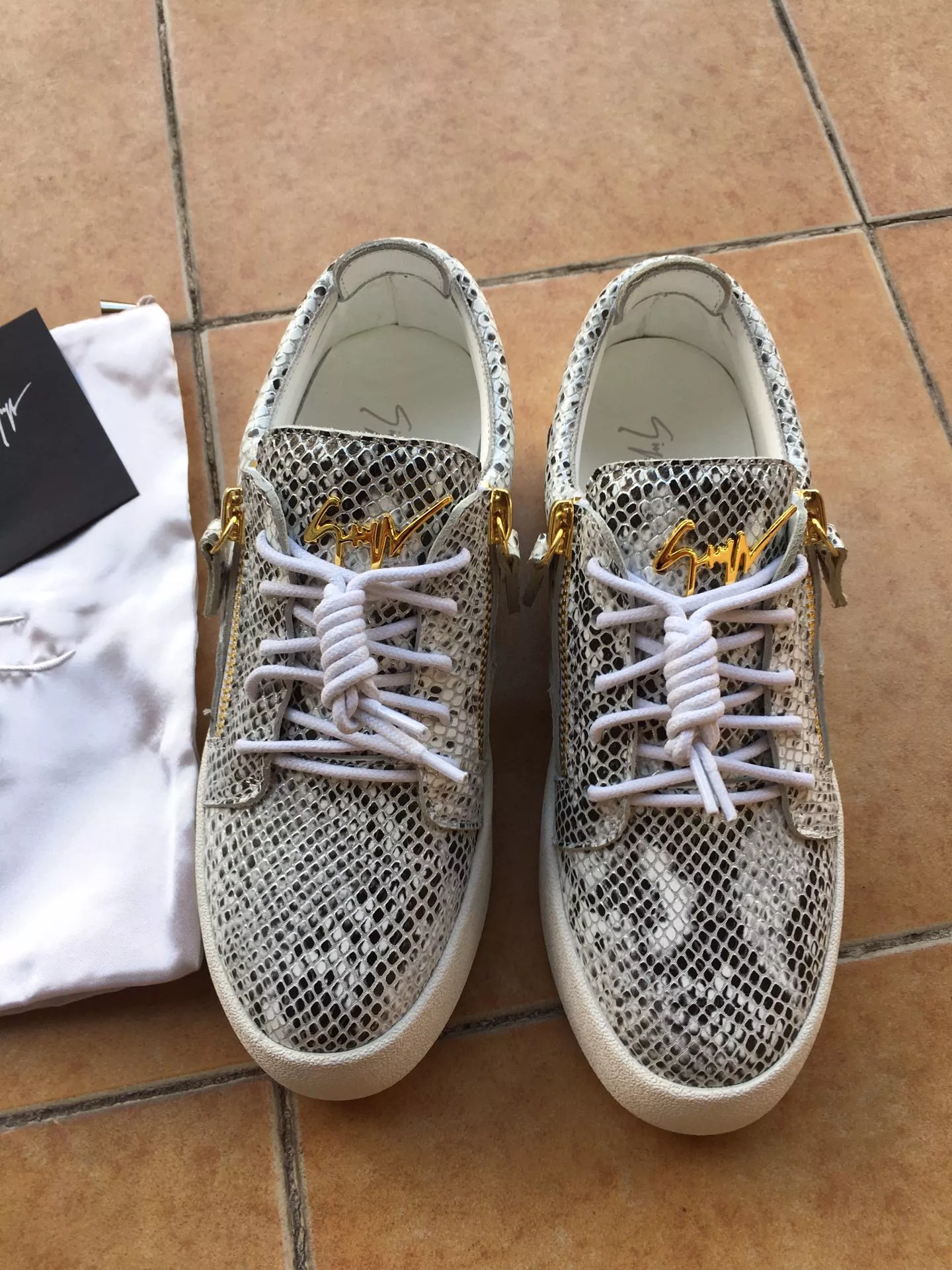 Trendsetting 9484 Giuseppe Zanotti Casual Shoes For Men