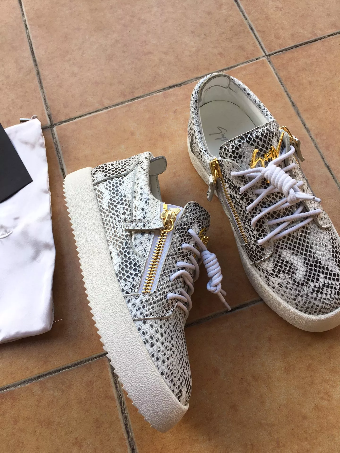 Trendsetting 9484 Giuseppe Zanotti Casual Shoes For Men