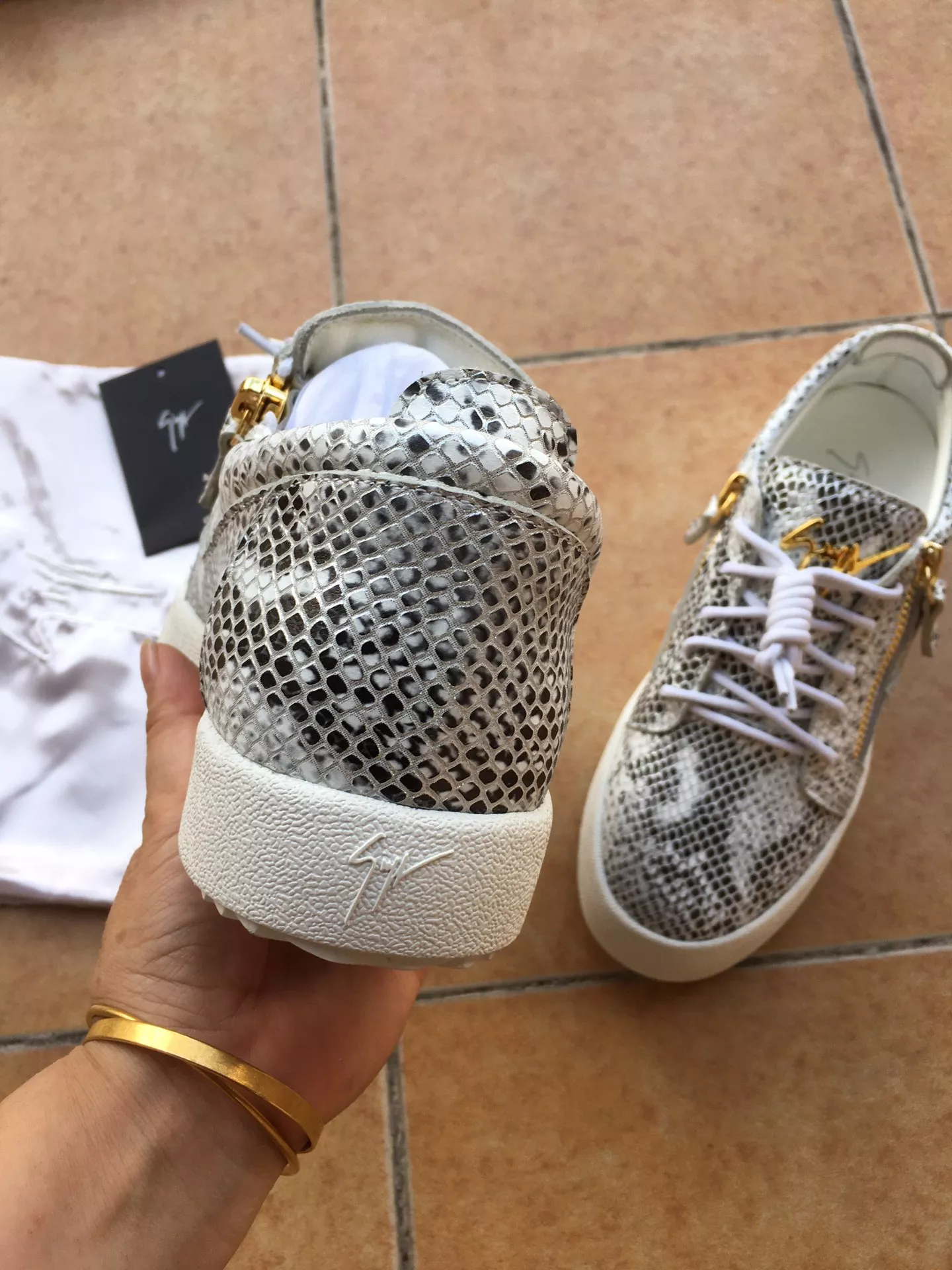 Trendsetting 9484 Giuseppe Zanotti Casual Shoes For Men