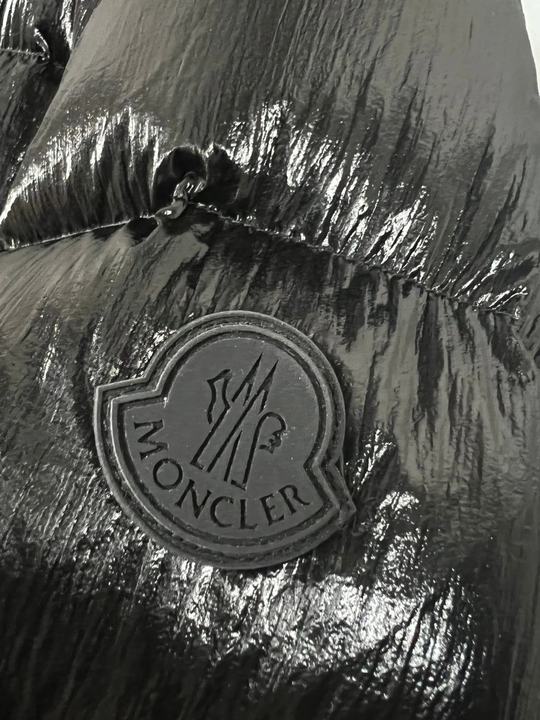 Trendy 310 Moncler Down Feather Coat Long Sleeved For Women