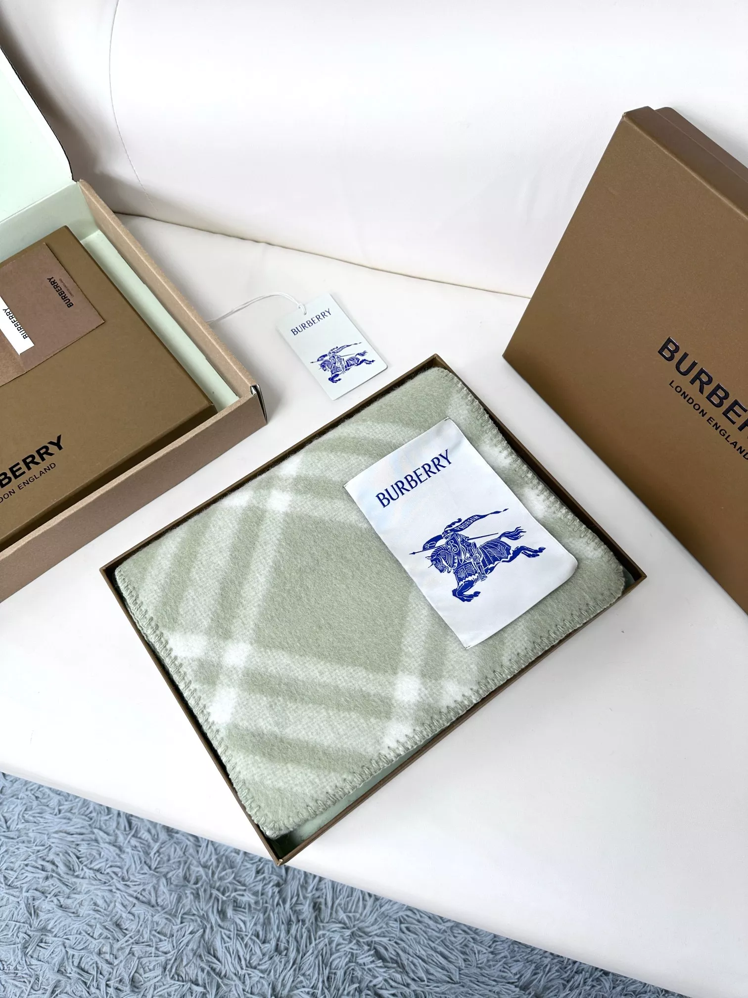 Trendy 4533 Burberry Scarf For Women