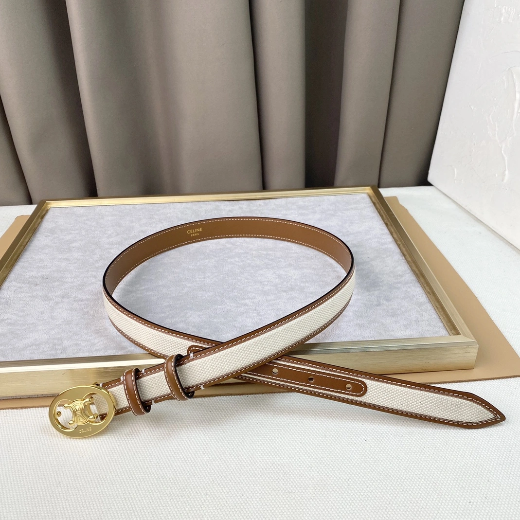 Trendy 5399 Celine AAA Quality Belts For Women