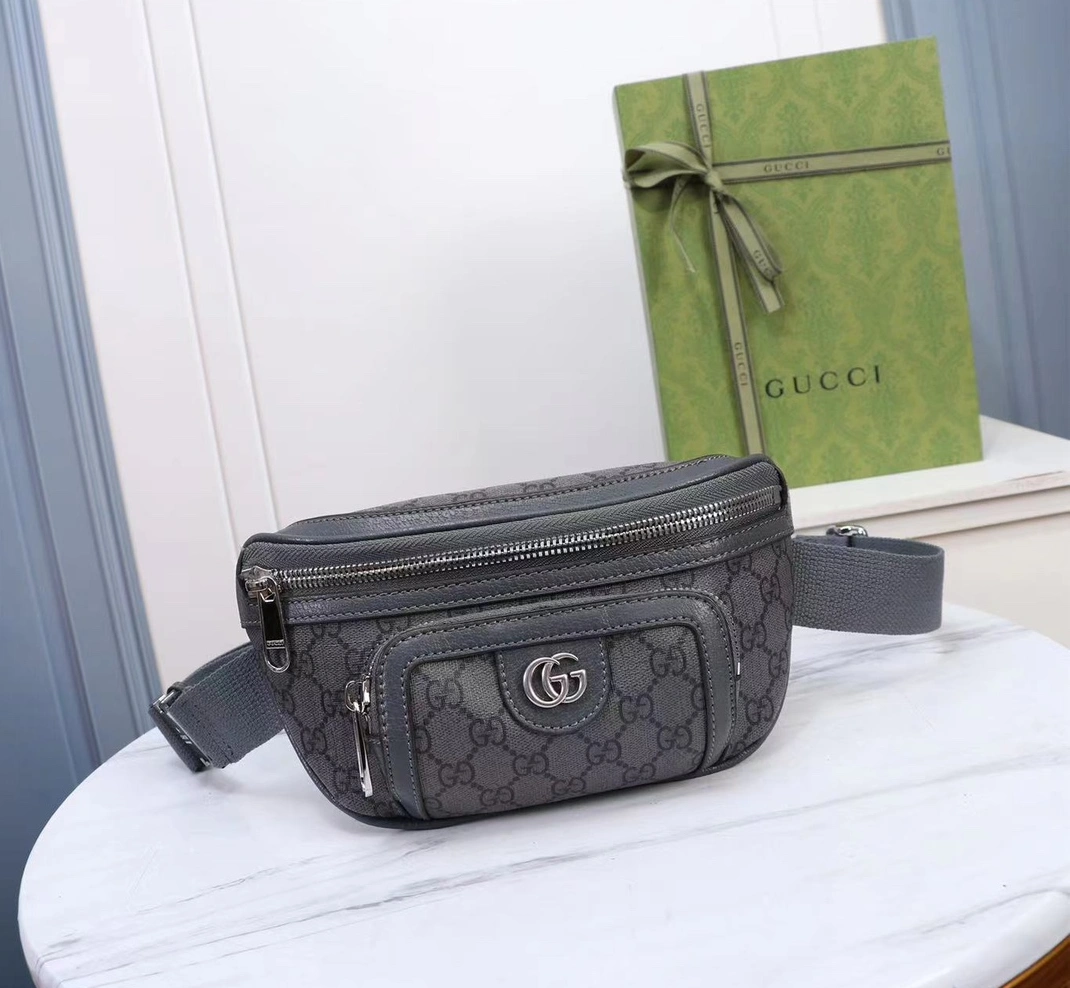 Trendy 8189 Gucci AAA Quality Belt Bags