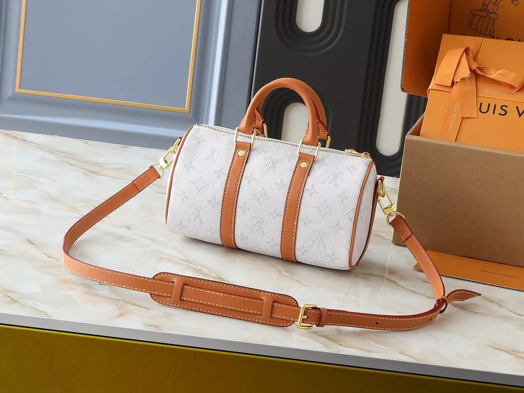 Trendy 9383 Louis Vuitton HandBags For Women