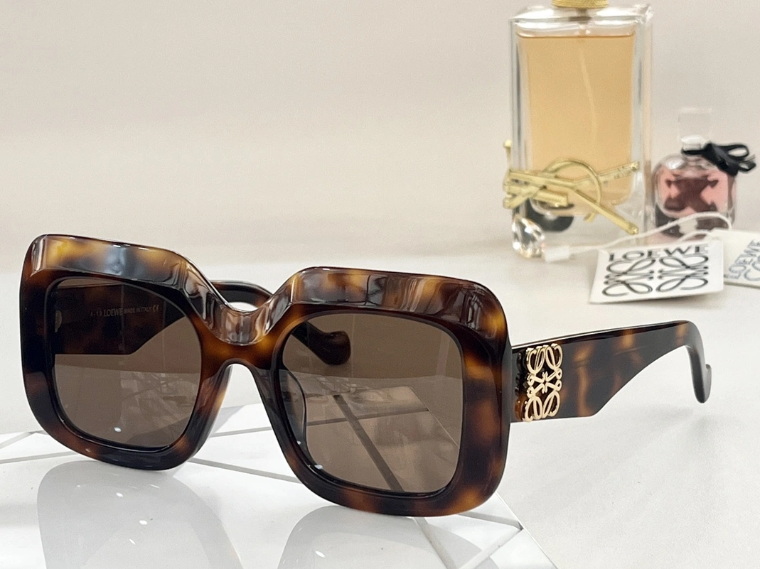 Unique 119 LOEWE AAA Quality Sunglasses