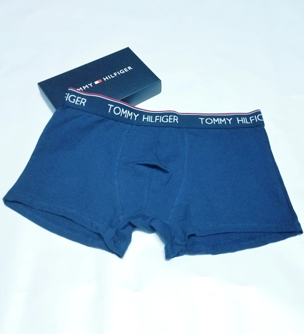 Unique 4548 Tommy Hilfiger TH Underwears For Men