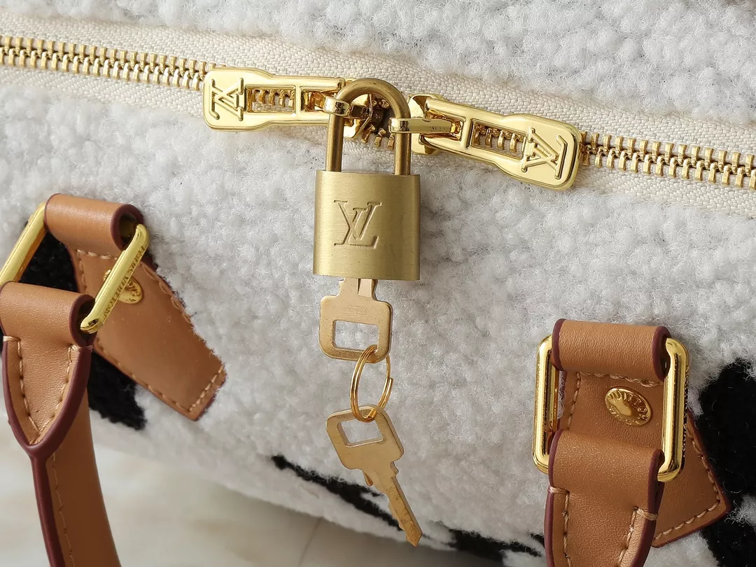 Unique 4741 Louis Vuitton AAA Quality Handbags For Women