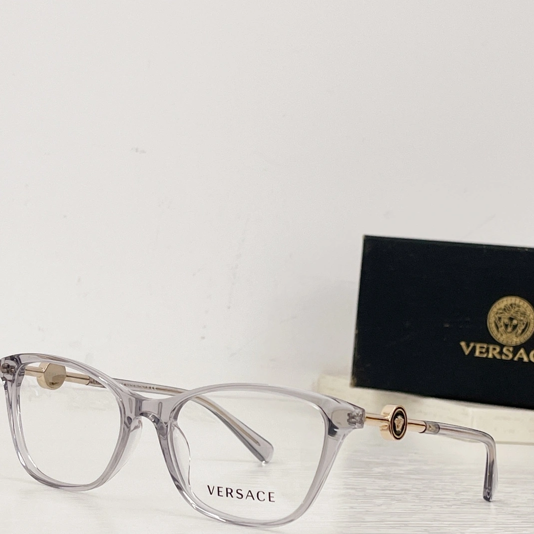 Versace Goggles Practical 3207