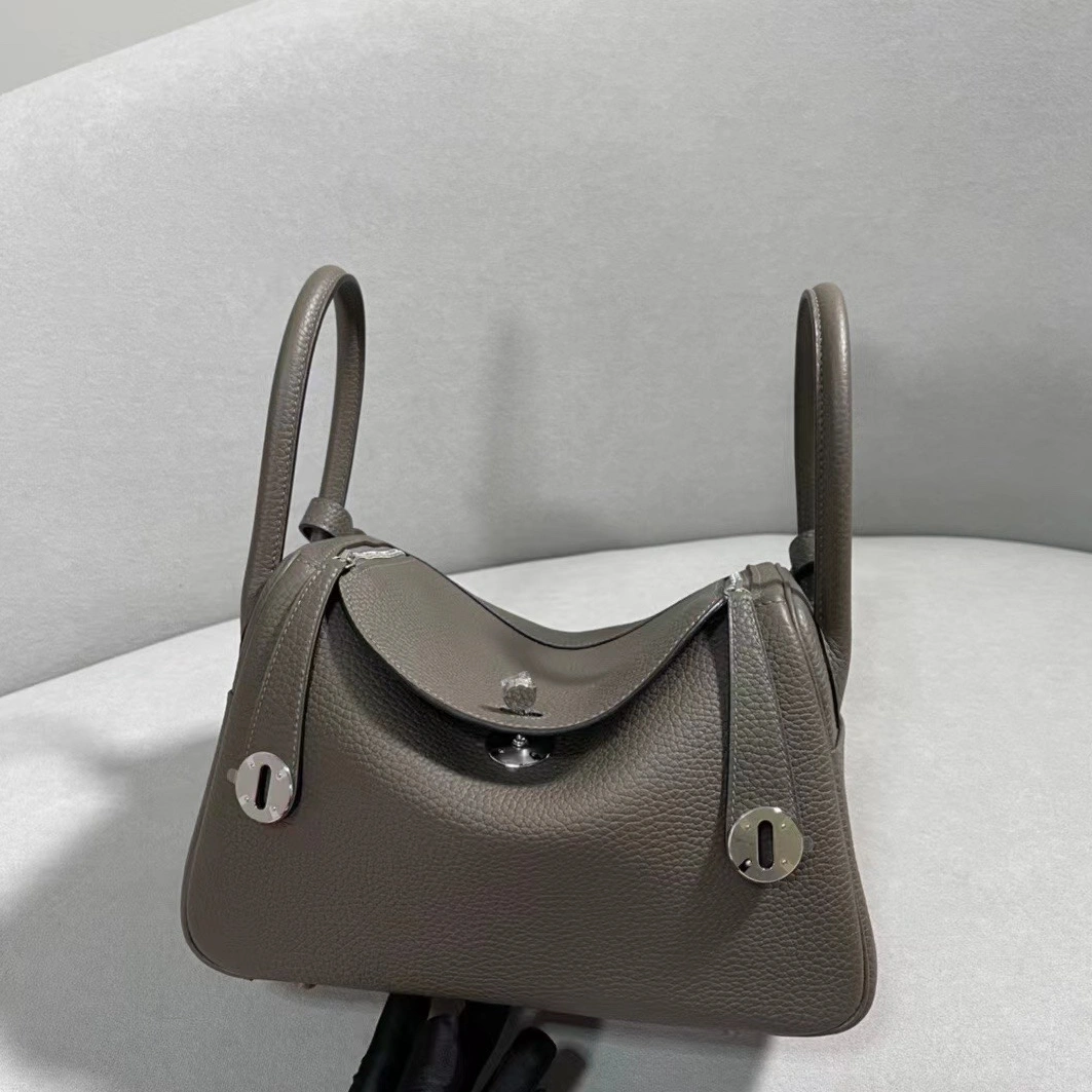 Versatile 1614 Hermes AAA Quality Handbags For Women