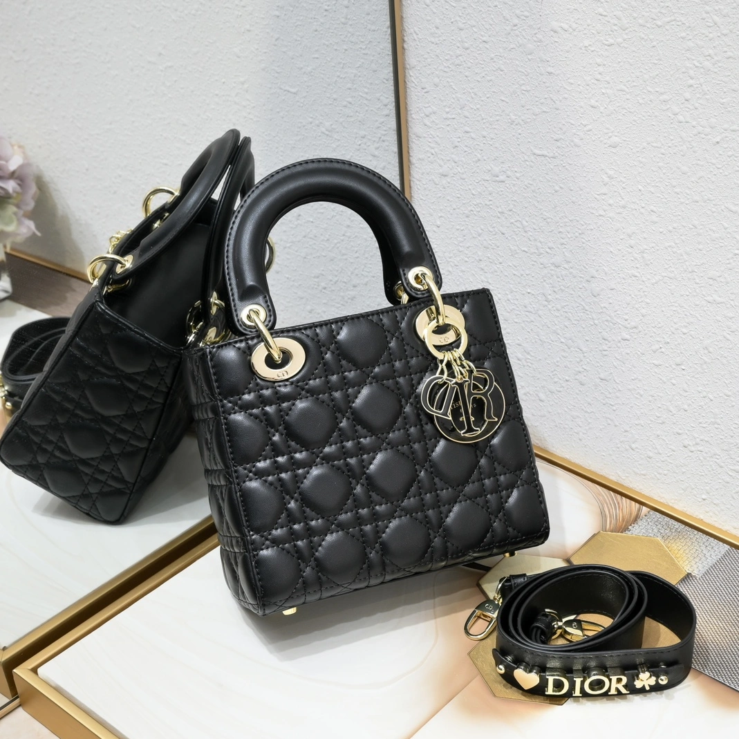 Versatile 3096 Christian Dior AAA Handbags For Women