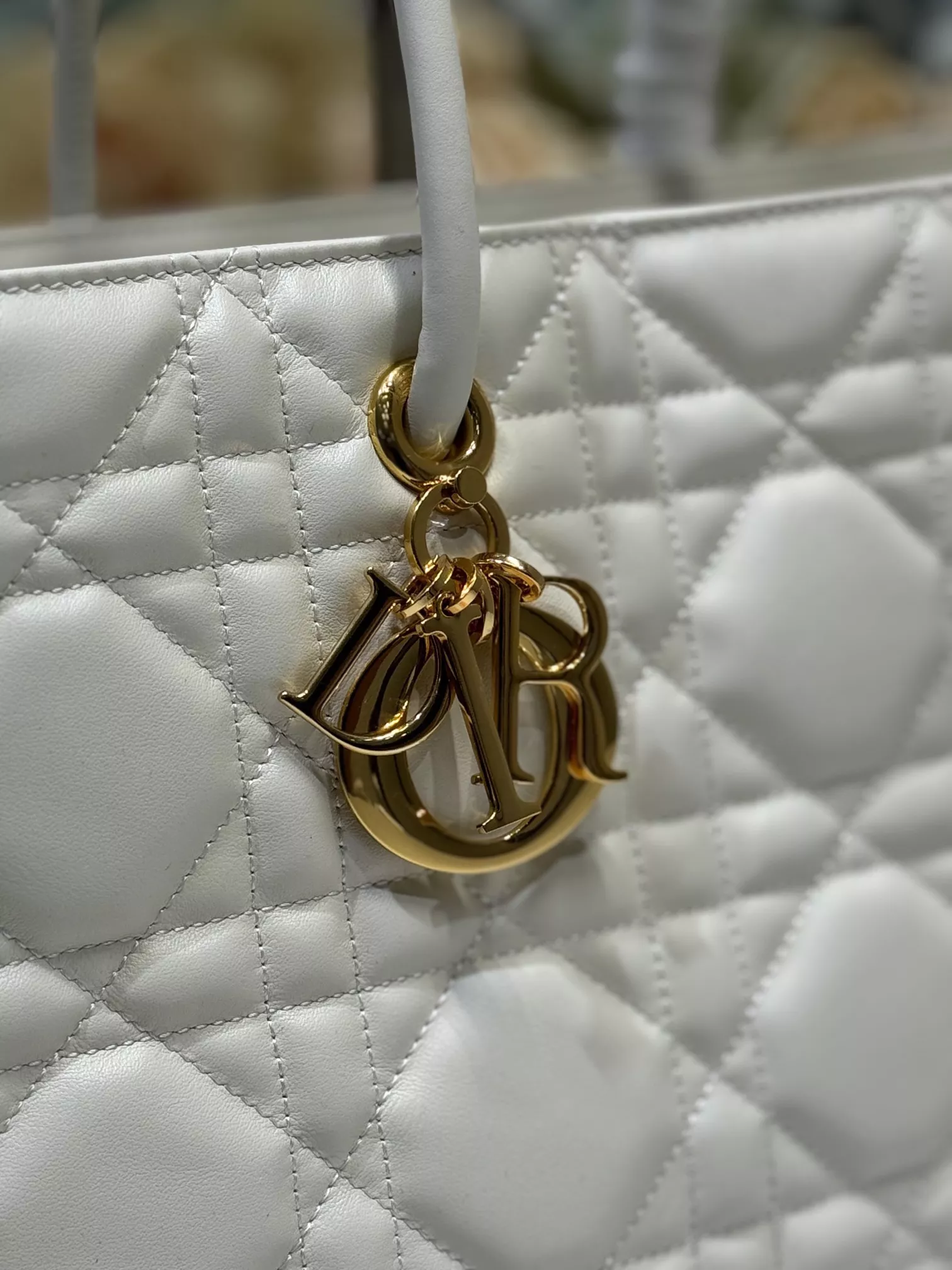 Versatile 4403 Christian Dior AAA Quality Shoulder Bags For Women