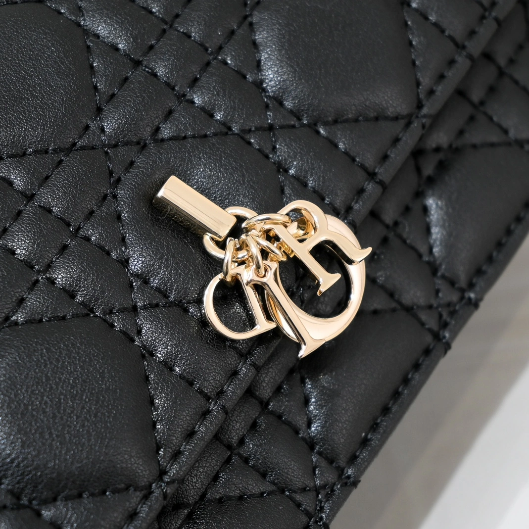 Versatile 6139 Christian Dior AAA Quality Messenger Bags For Women