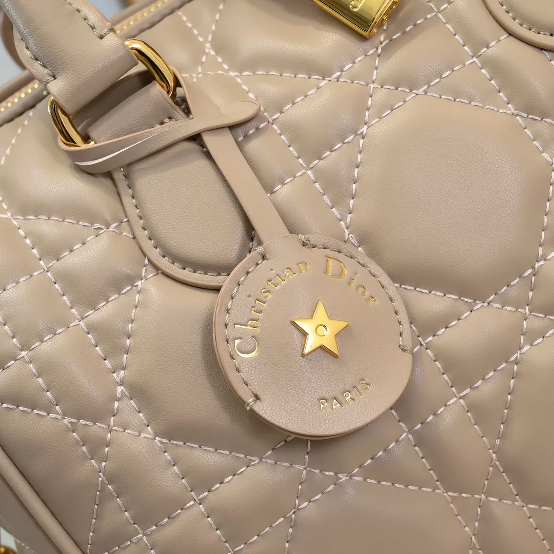 Vibrant 2280 Christian Dior AAA Quality Handbags For Women