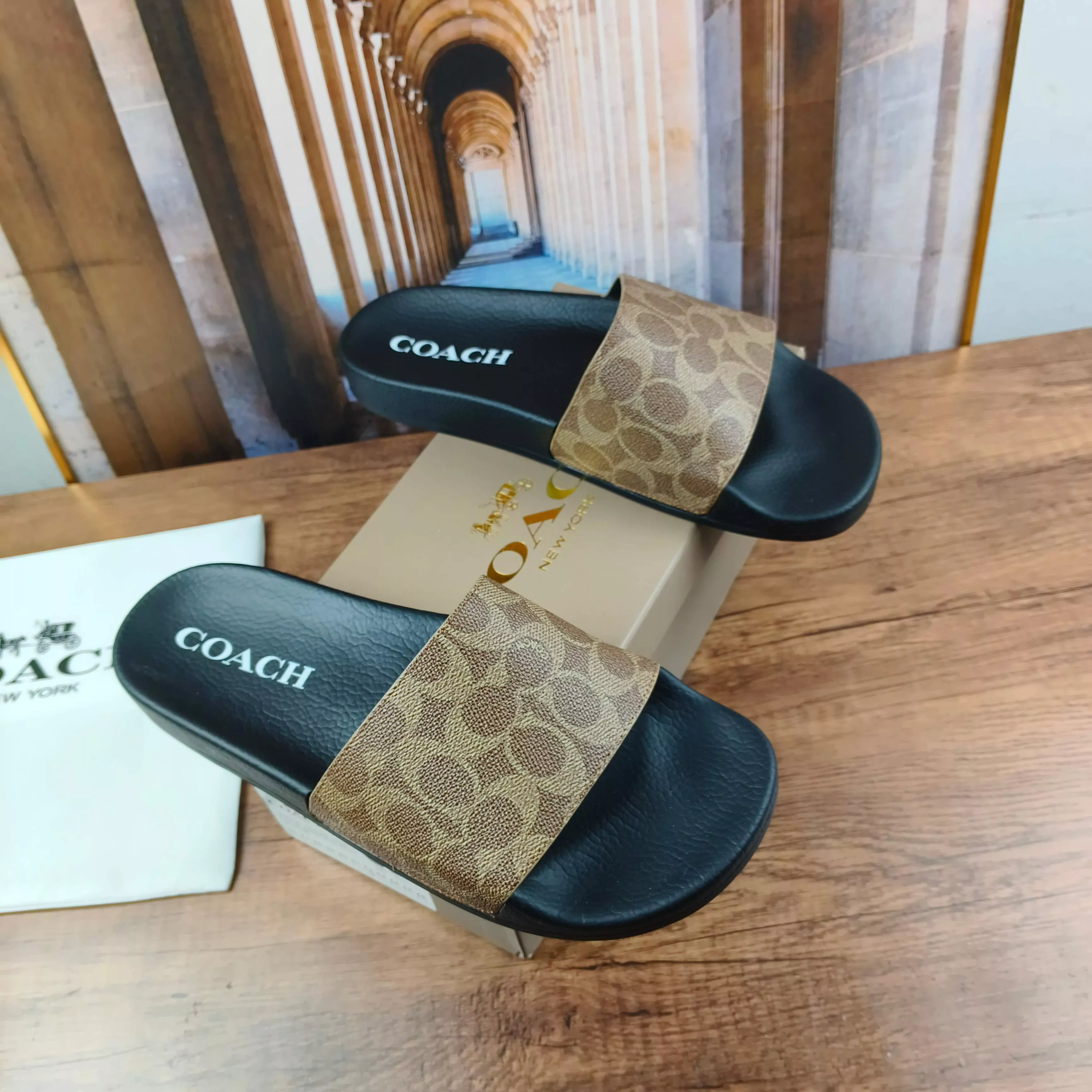 Vibrant 2852 Coach Slippers For Men