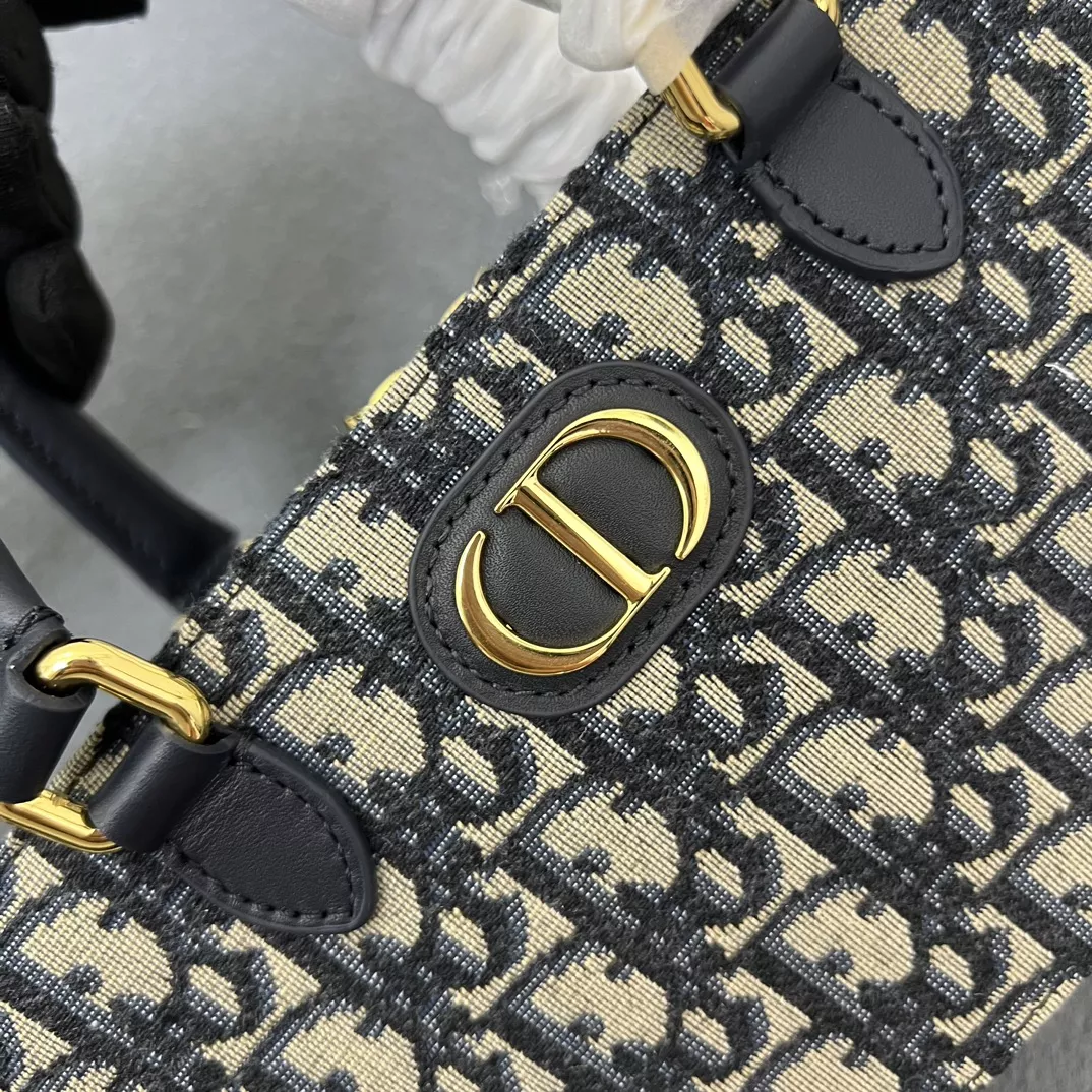Vibrant 3738 Christian Dior AAA Quality Handbags For Women
