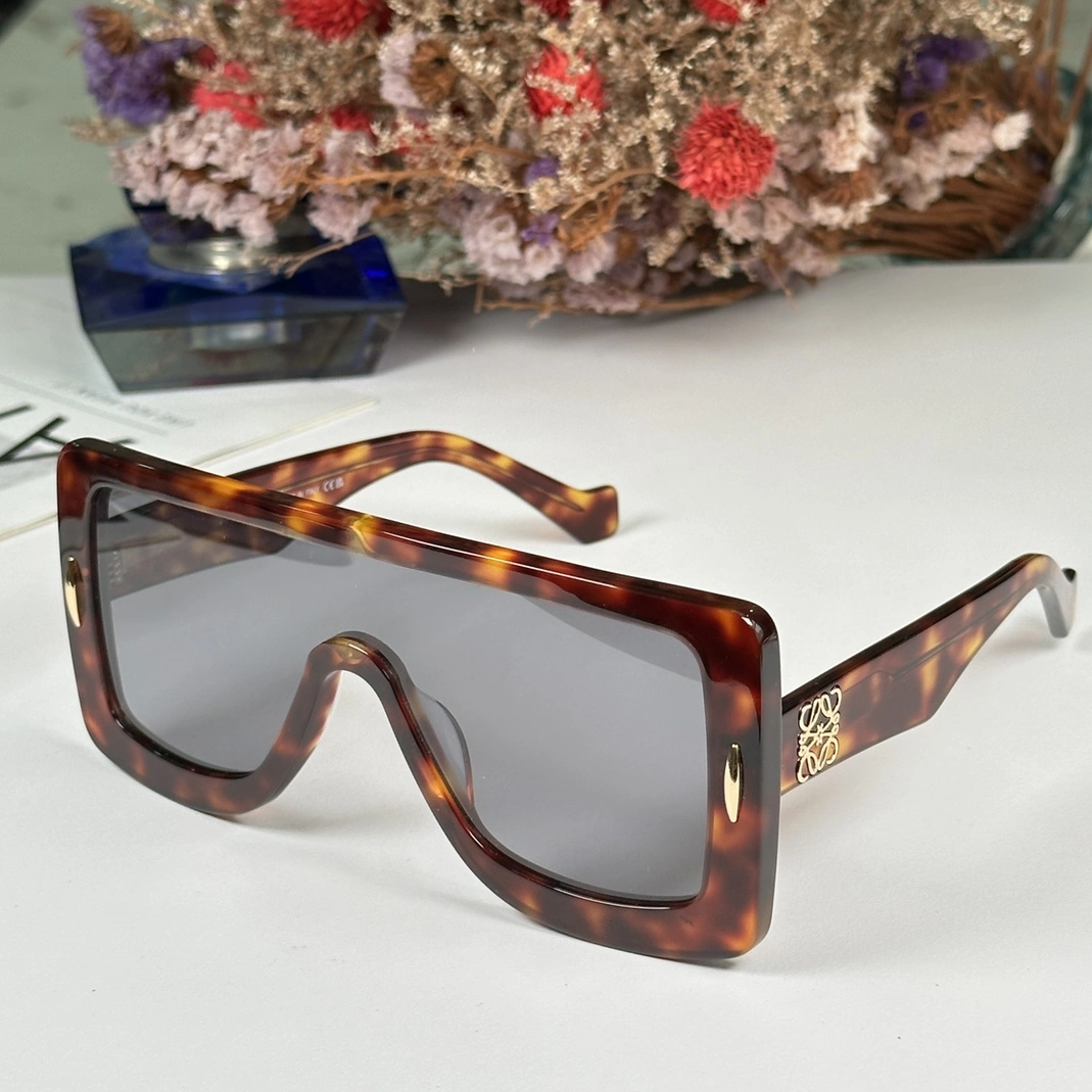 Vibrant 4120 LOEWE AAA Quality Sunglasses