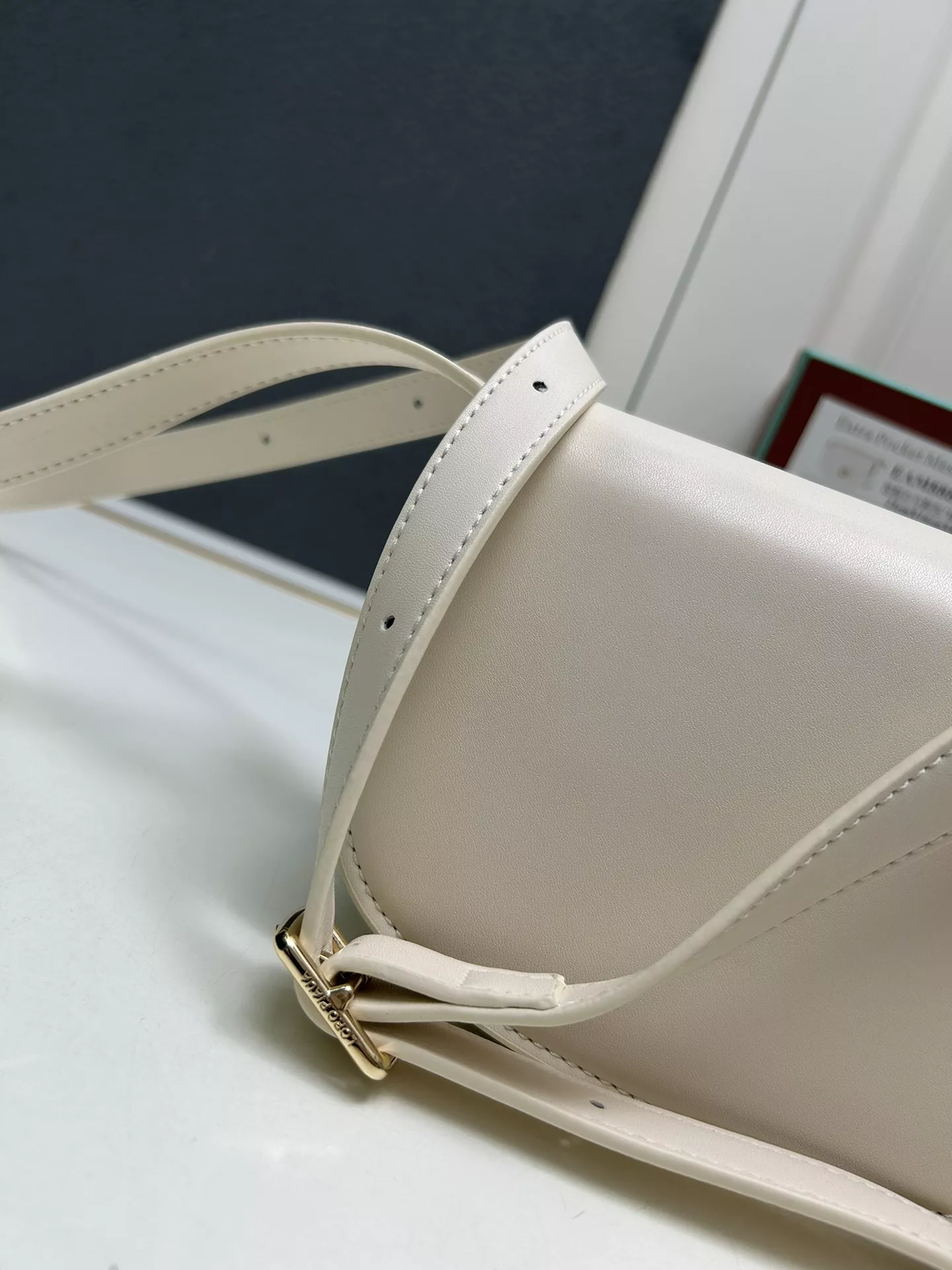 Vibrant 5453 Loro Piana AAA Quality Messenger Bags For Women