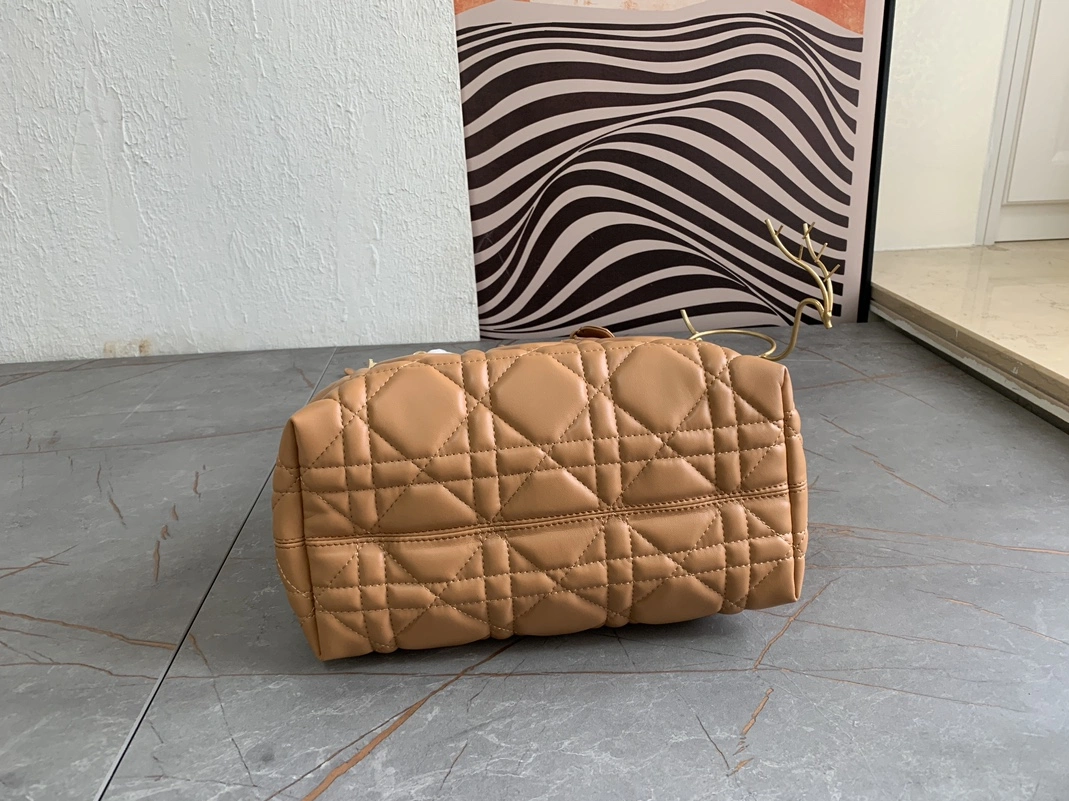 Vibrant 5850 Christian Dior AAA Quality Handbags For Women