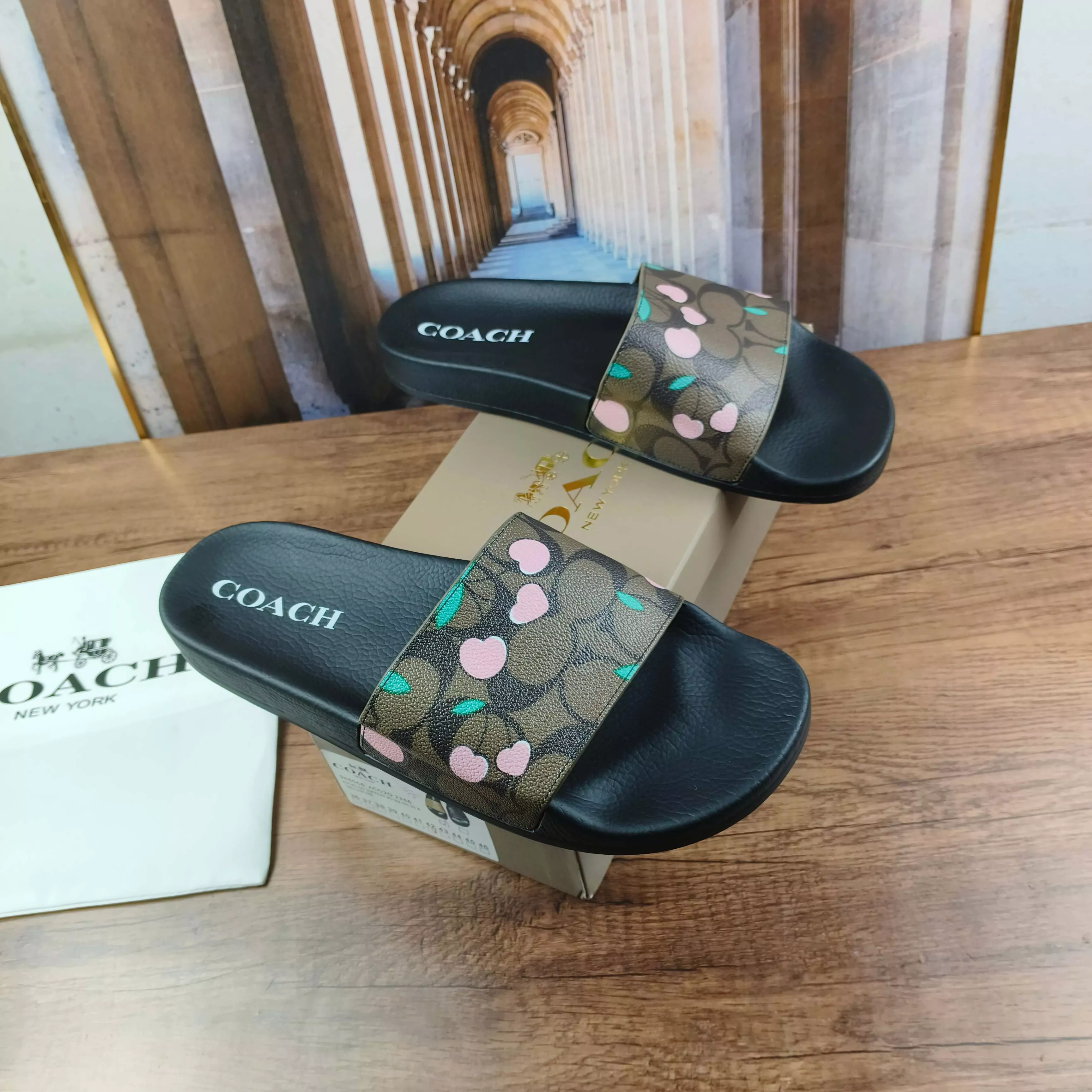 Vibrant 6564 Coach Slippers For Men