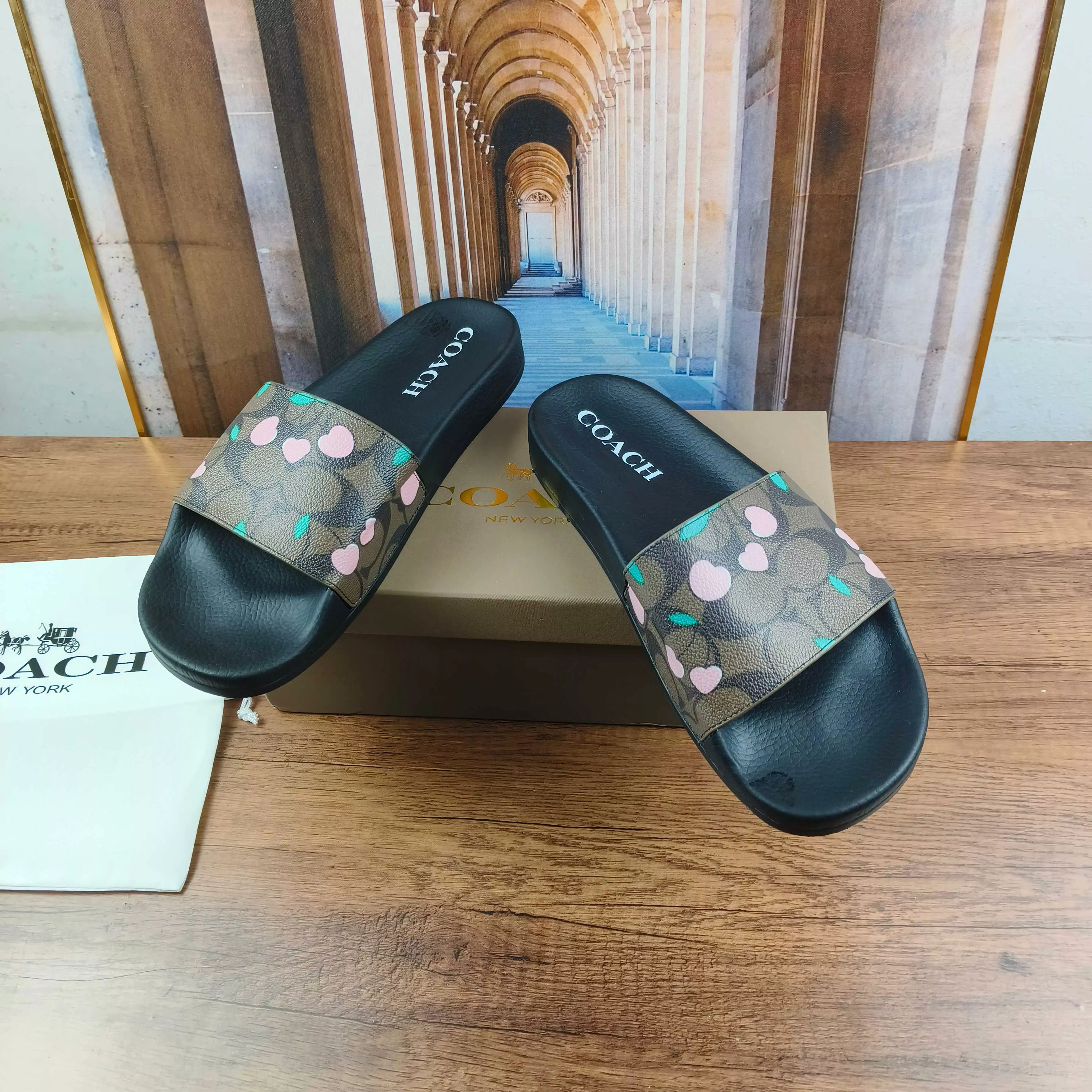 Vibrant 6564 Coach Slippers For Men