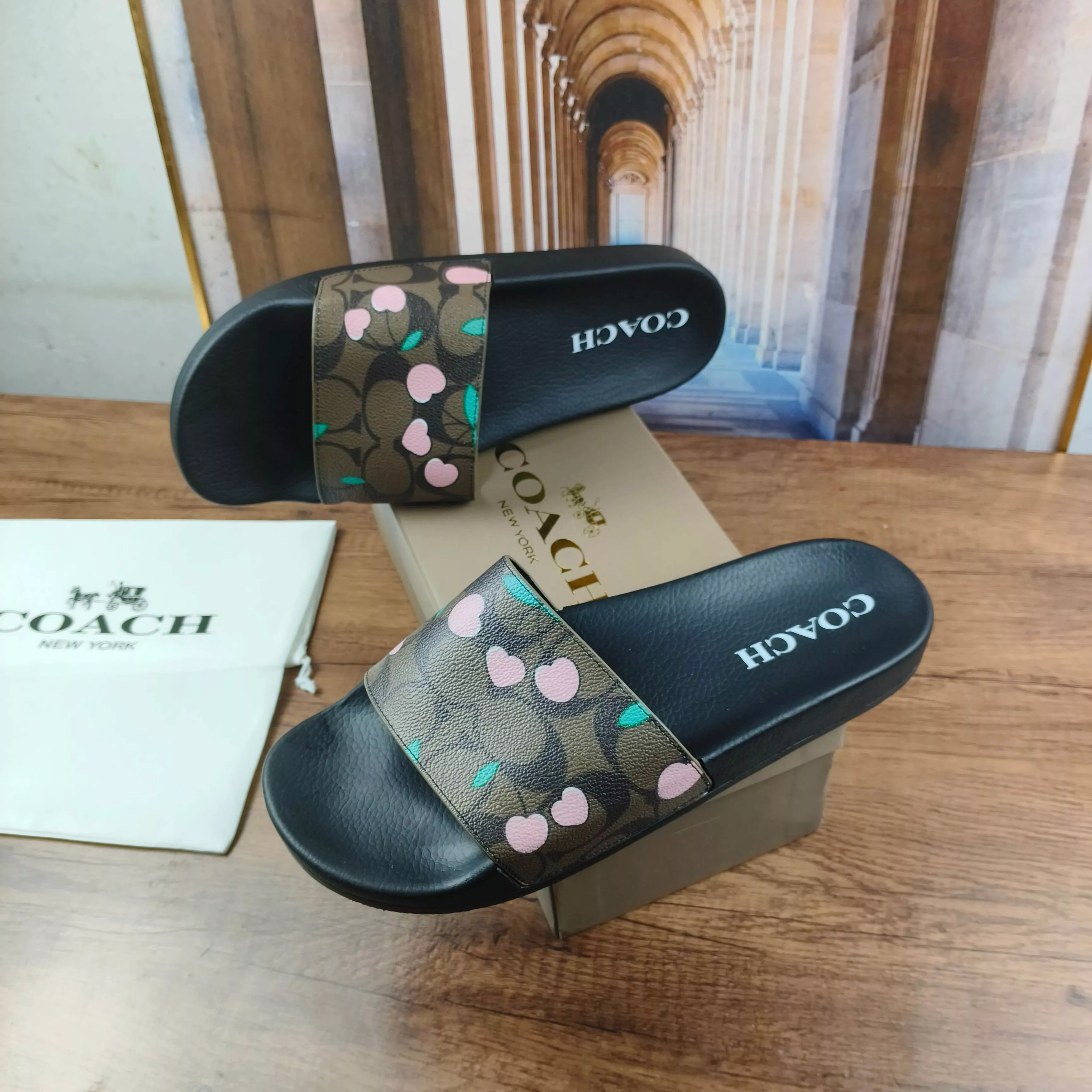 Vibrant 6564 Coach Slippers For Men
