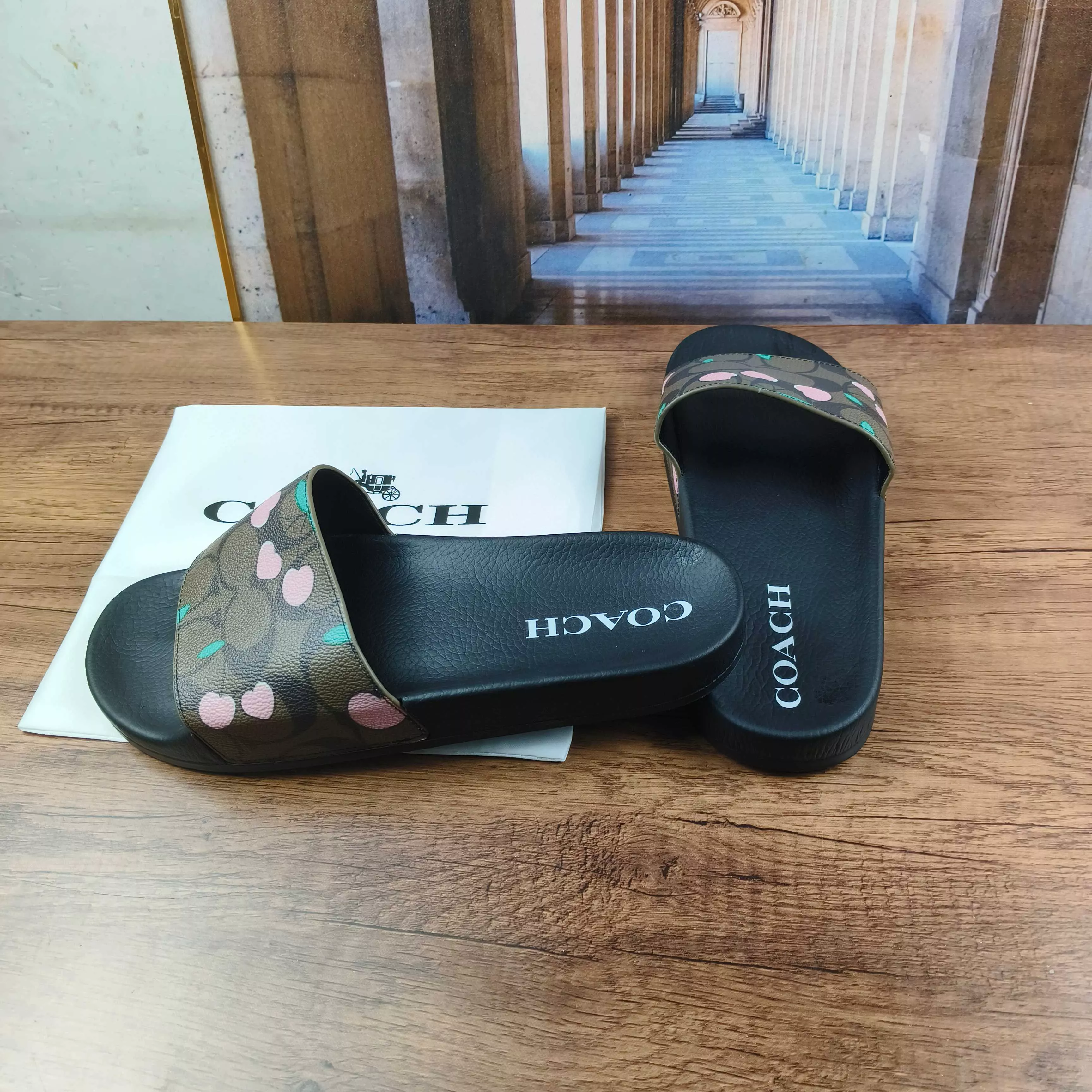 Vibrant 6564 Coach Slippers For Men