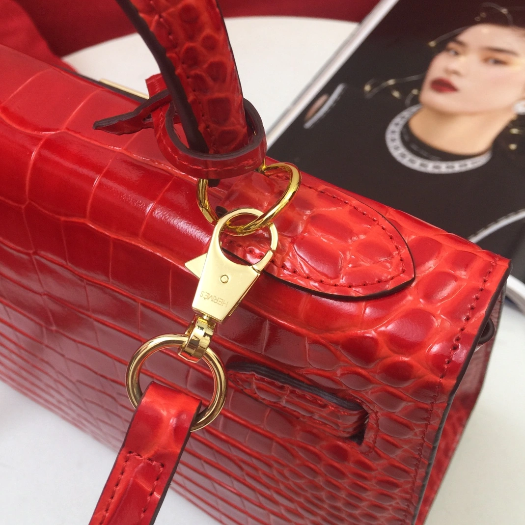 Vibrant 7501 Hermes AAA Quality Handbags For Women