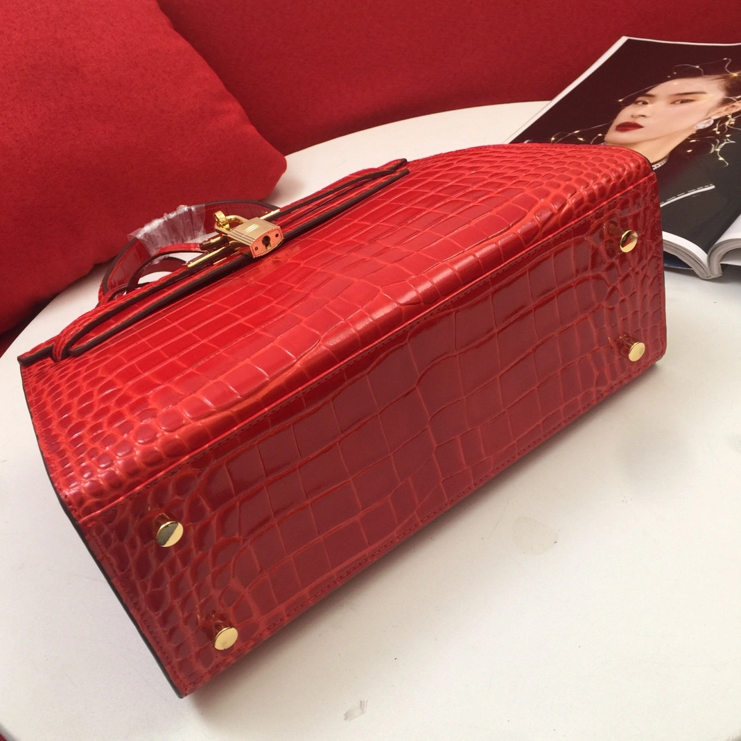 Vibrant 7501 Hermes AAA Quality Handbags For Women