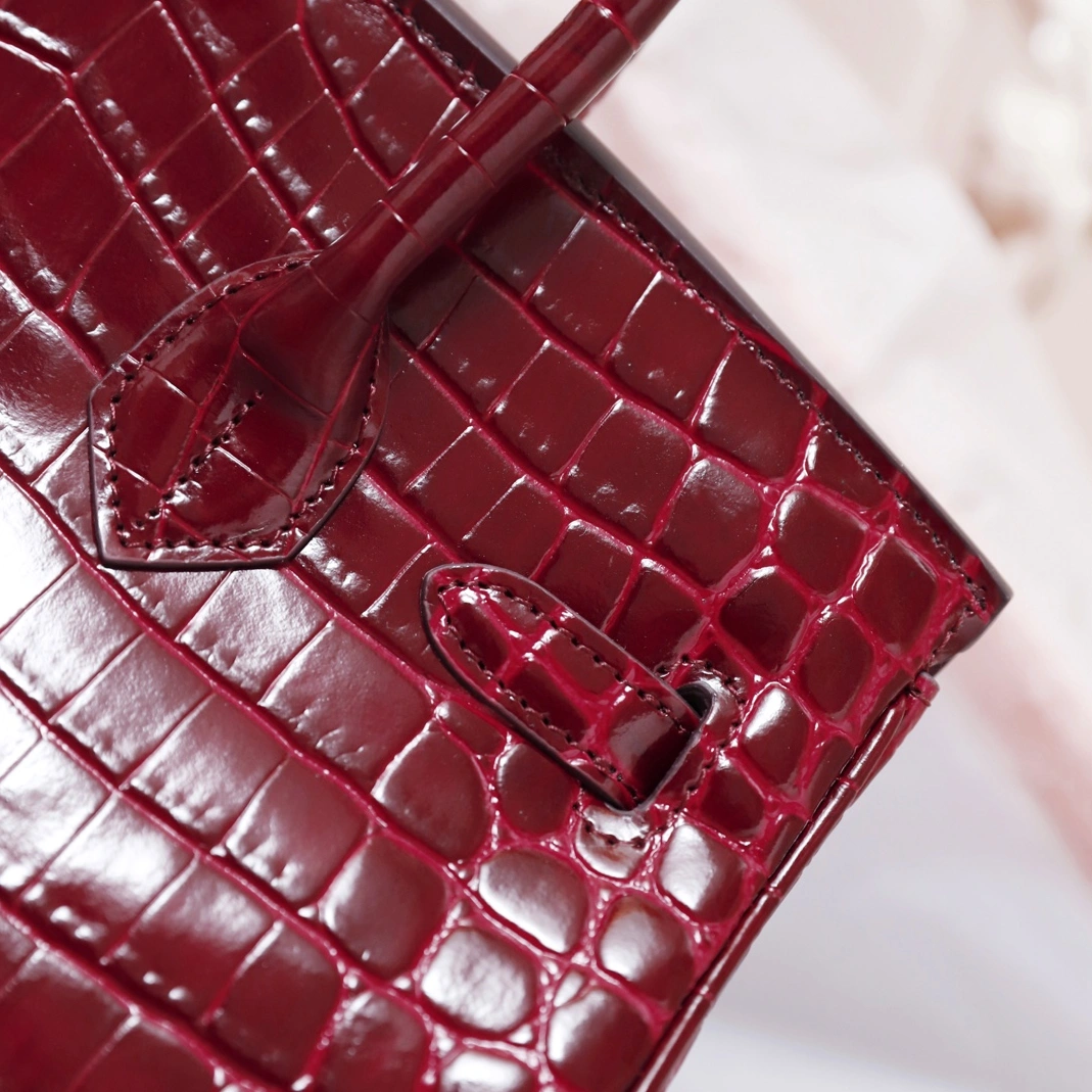 Vibrant 7854 Hermes AAA Quality Handbags For Women