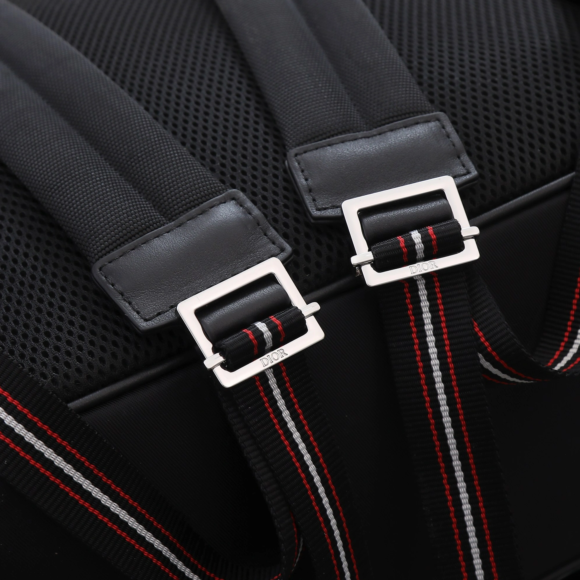 Vibrant 818 Christian Dior AAA Man Backpacks