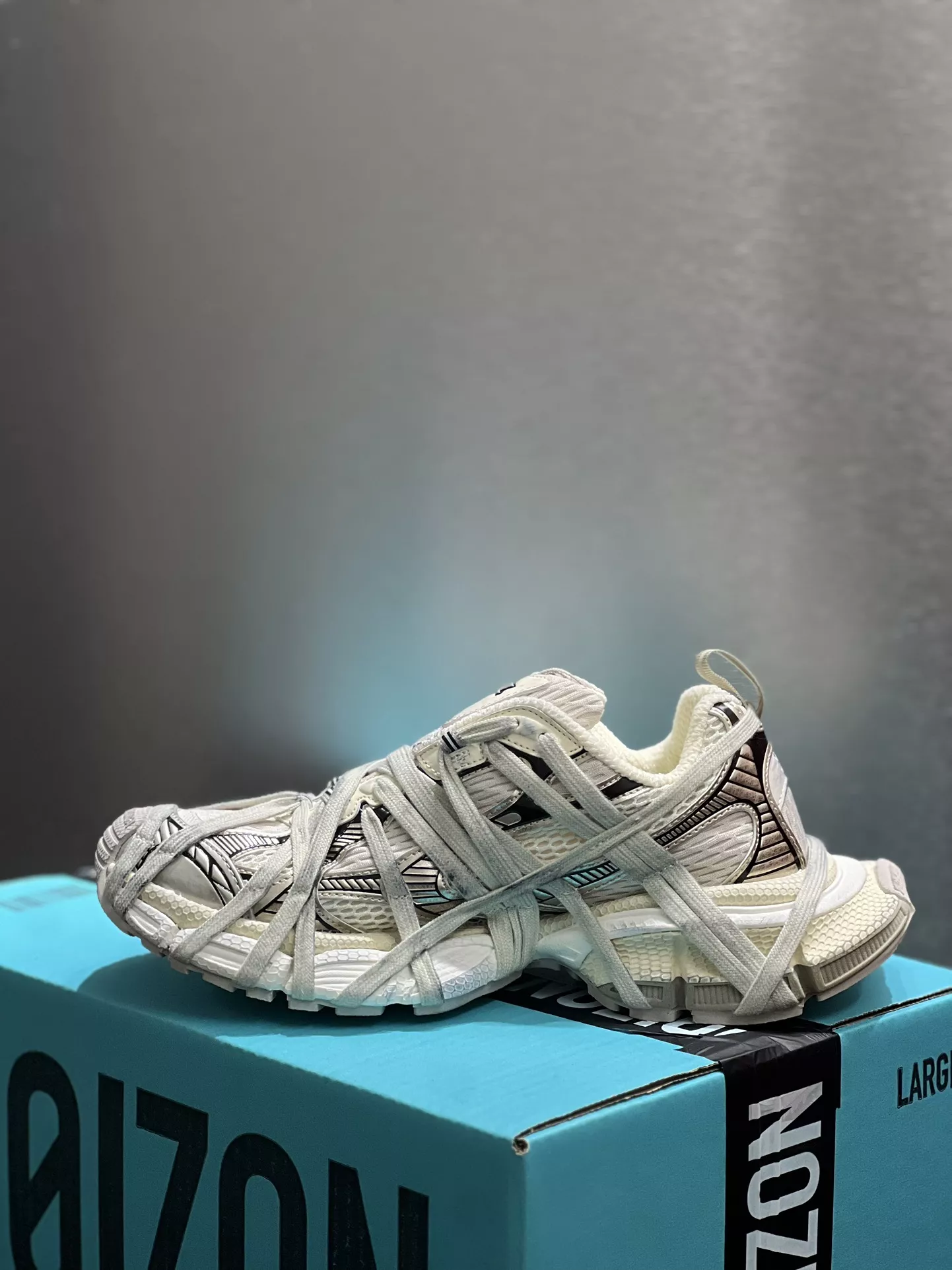 WellDesigned 1314 Balenciaga Casual Shoes For Women