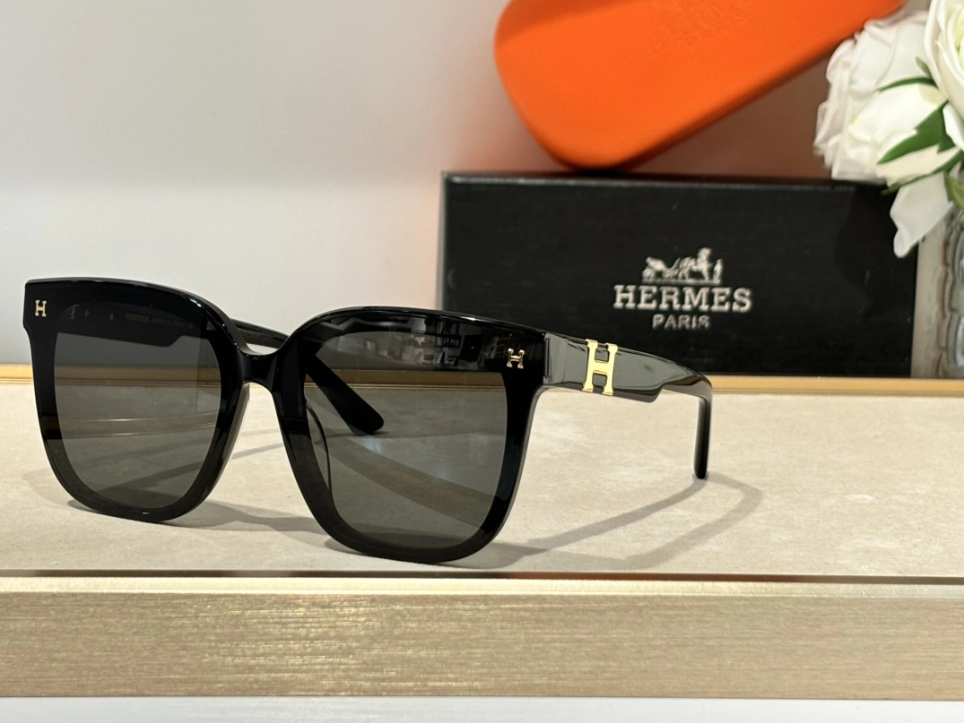 WellDesigned 1356 Hermes AAA Quality Sunglasses