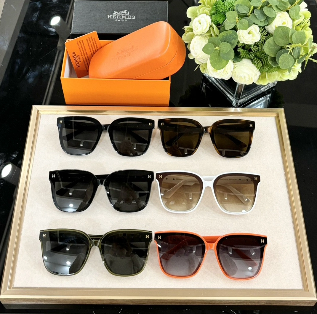 WellDesigned 2506 Hermes AAA Quality Sunglasses